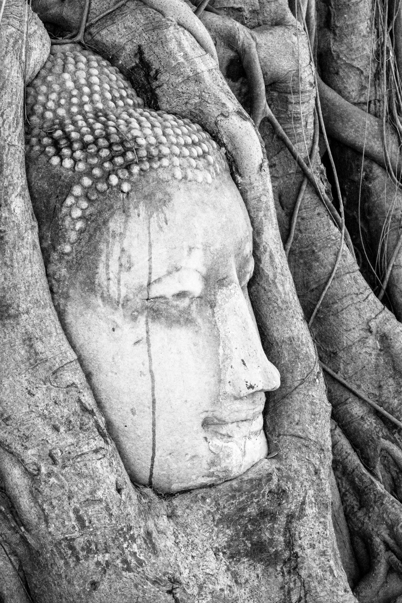 Wat Maha That, built in 1374 and destroyed by the Burmese in 1767.