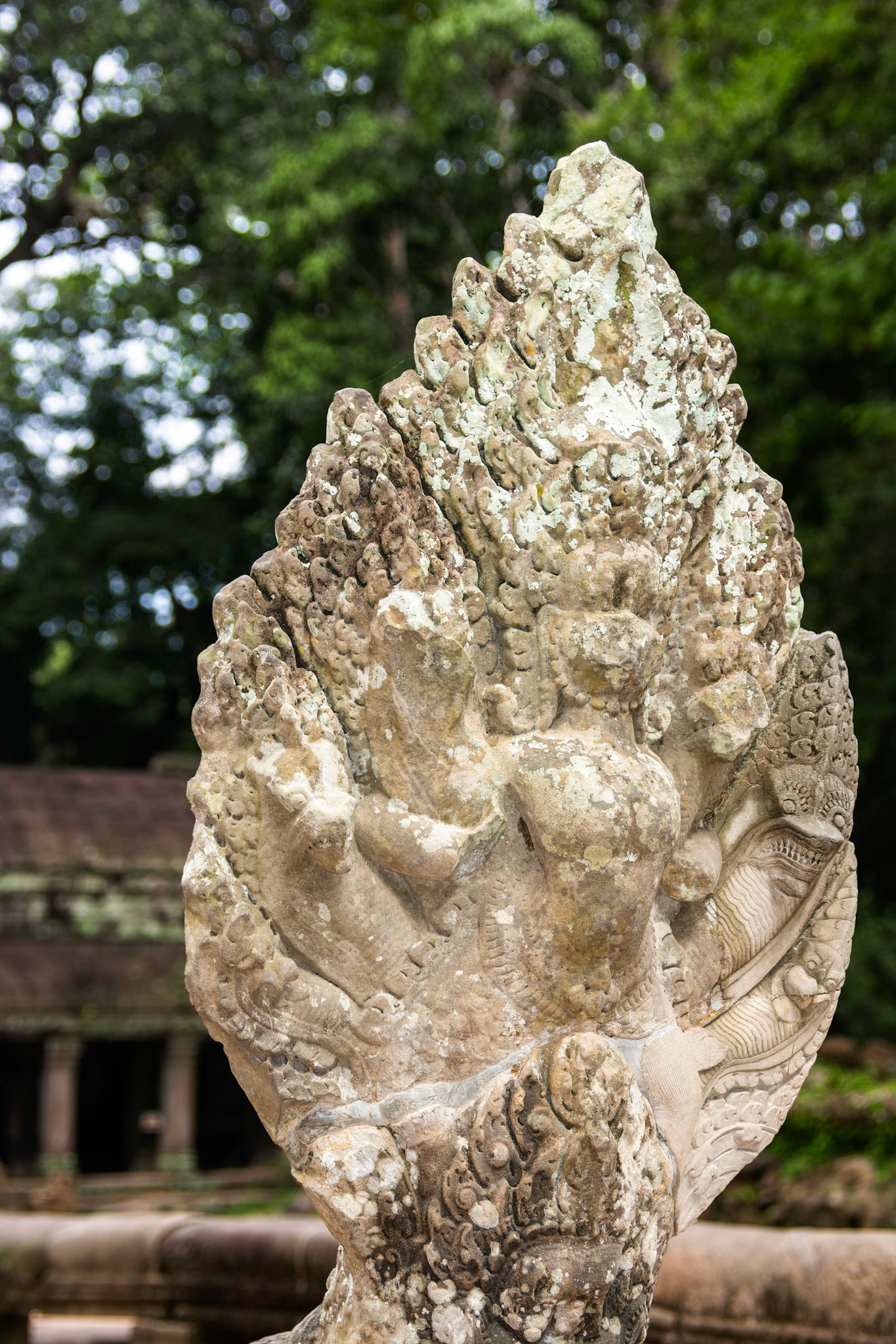 Ta Prohm Temple - ប្រាសាទ តាព្រហ្ម
