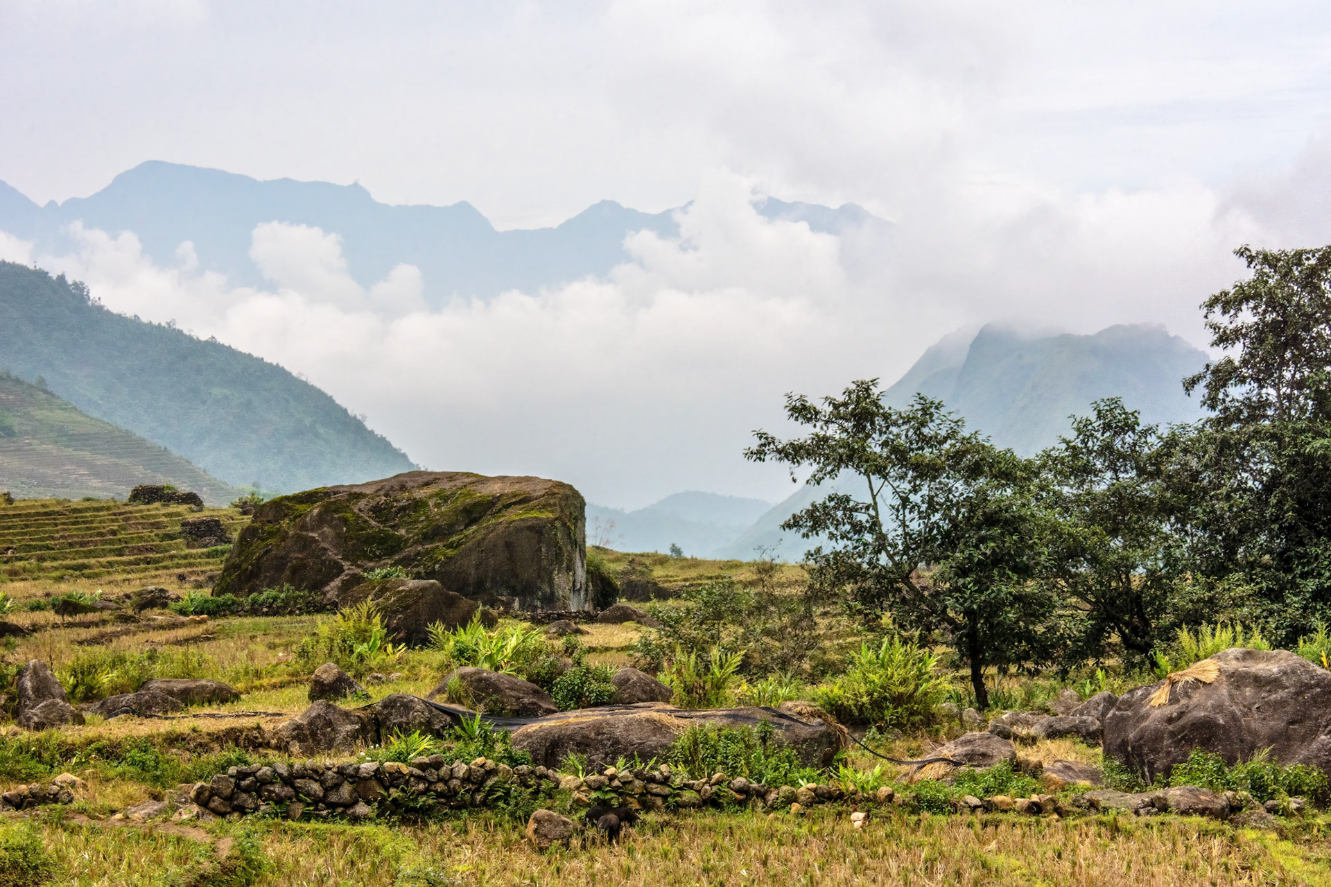 Lao Chải Village