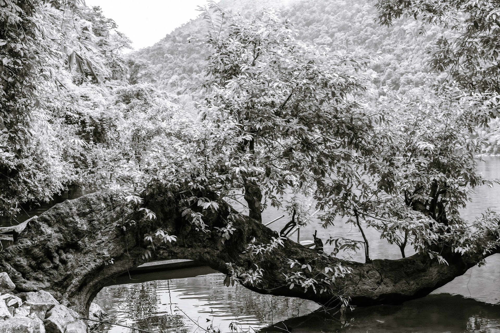 Hồ Ba Bể (Ba Bể Lake)
