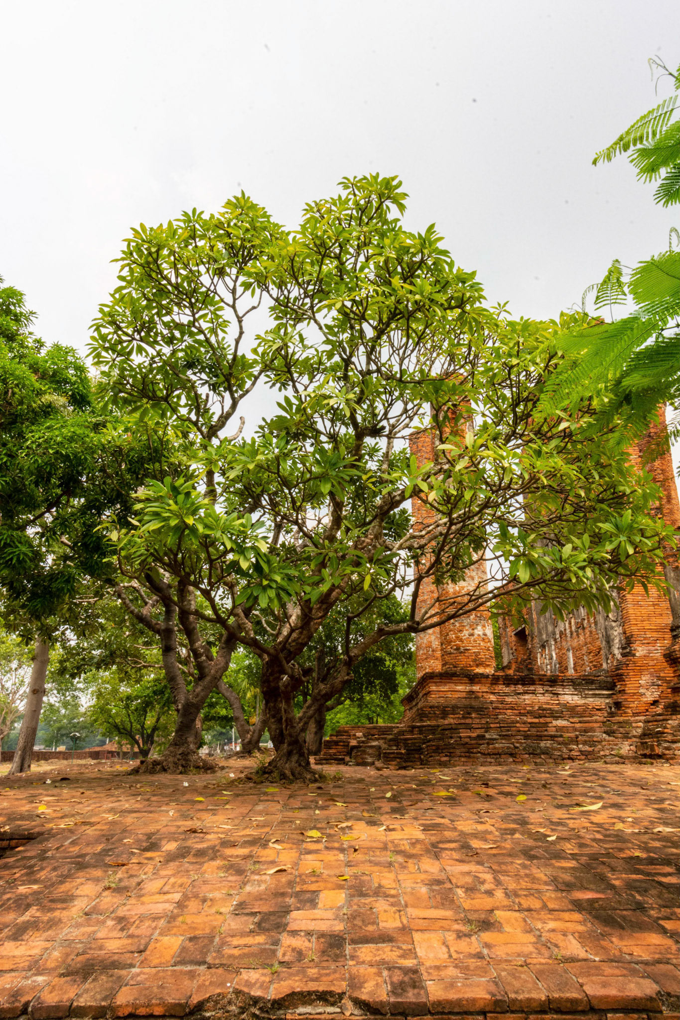 Wat Thammikarat - วัดธรรมิกราช