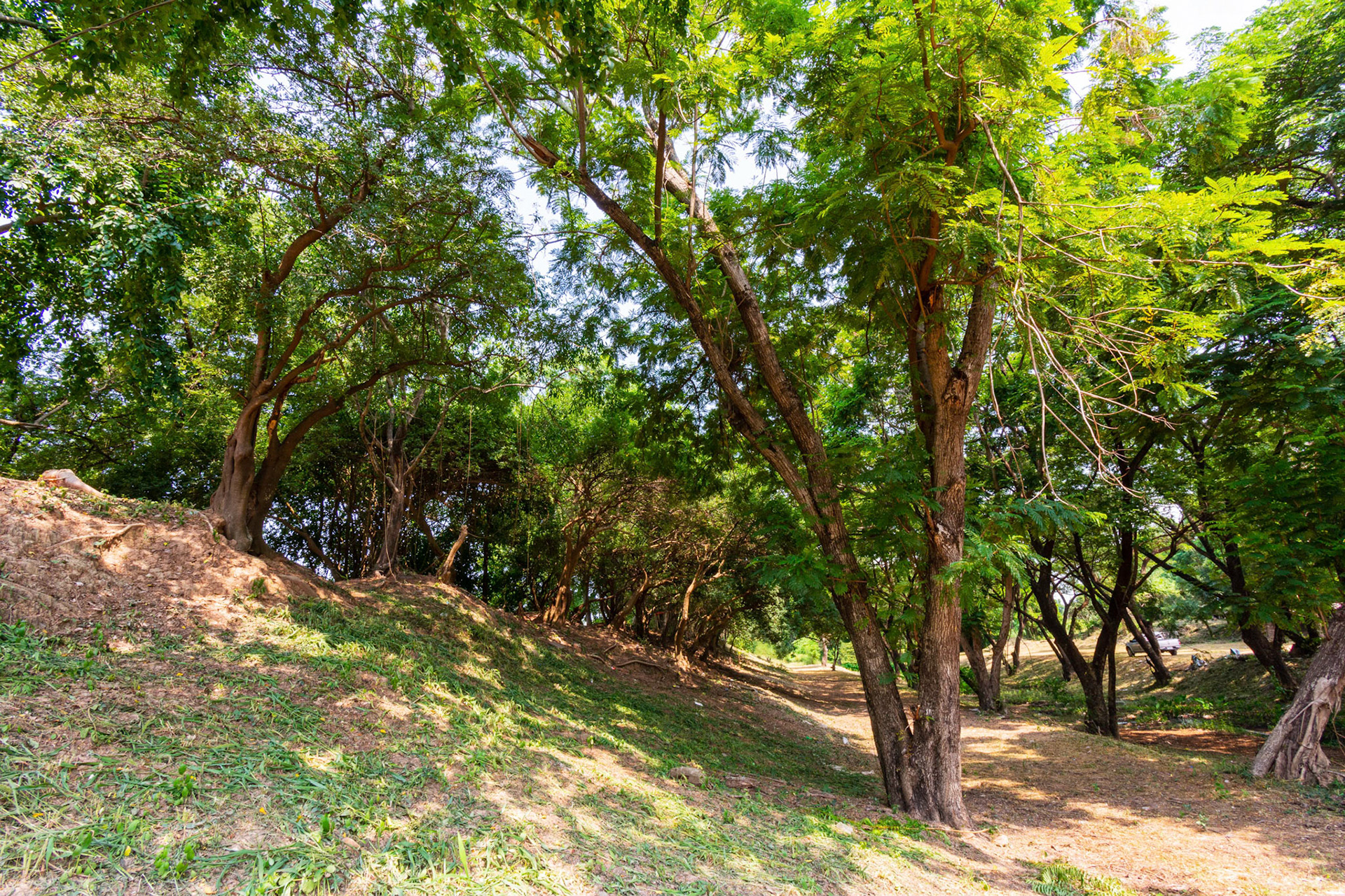 Old Ramparts