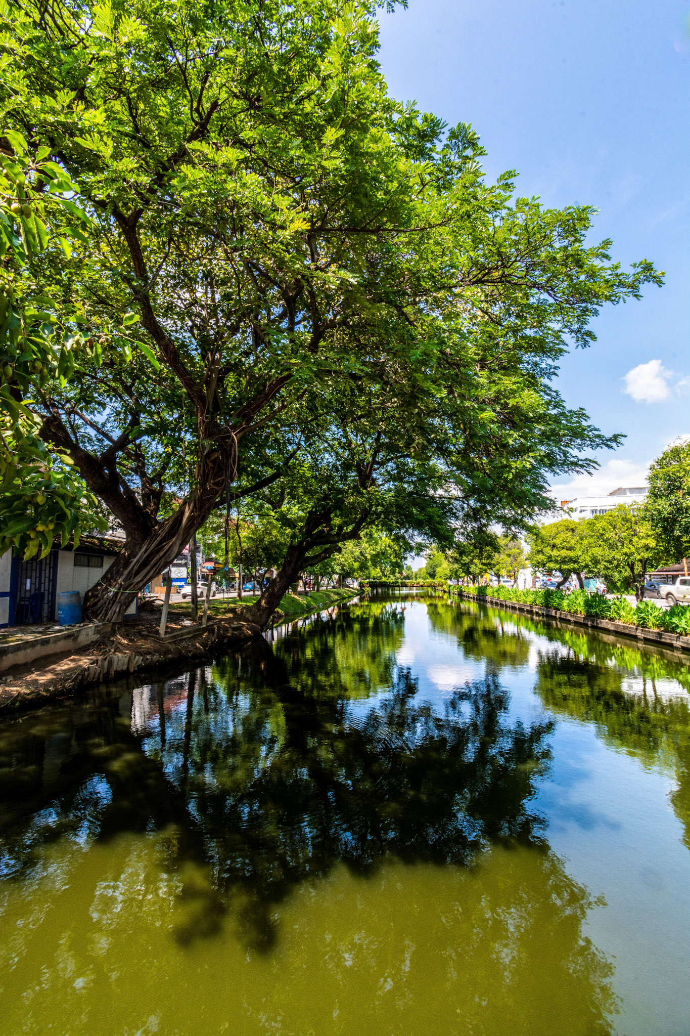 Section of the moat around Chiang Mai
