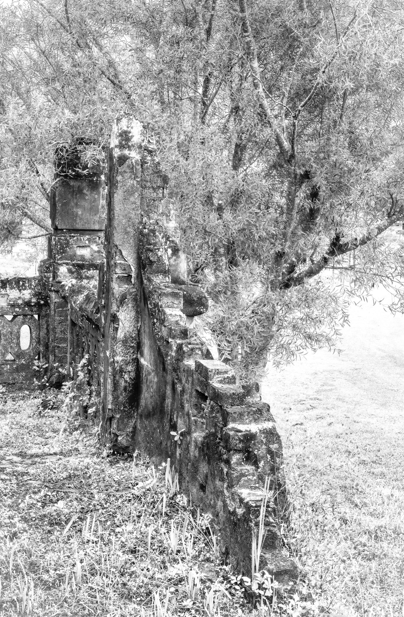 les ruines de l'ancien hôpital Français