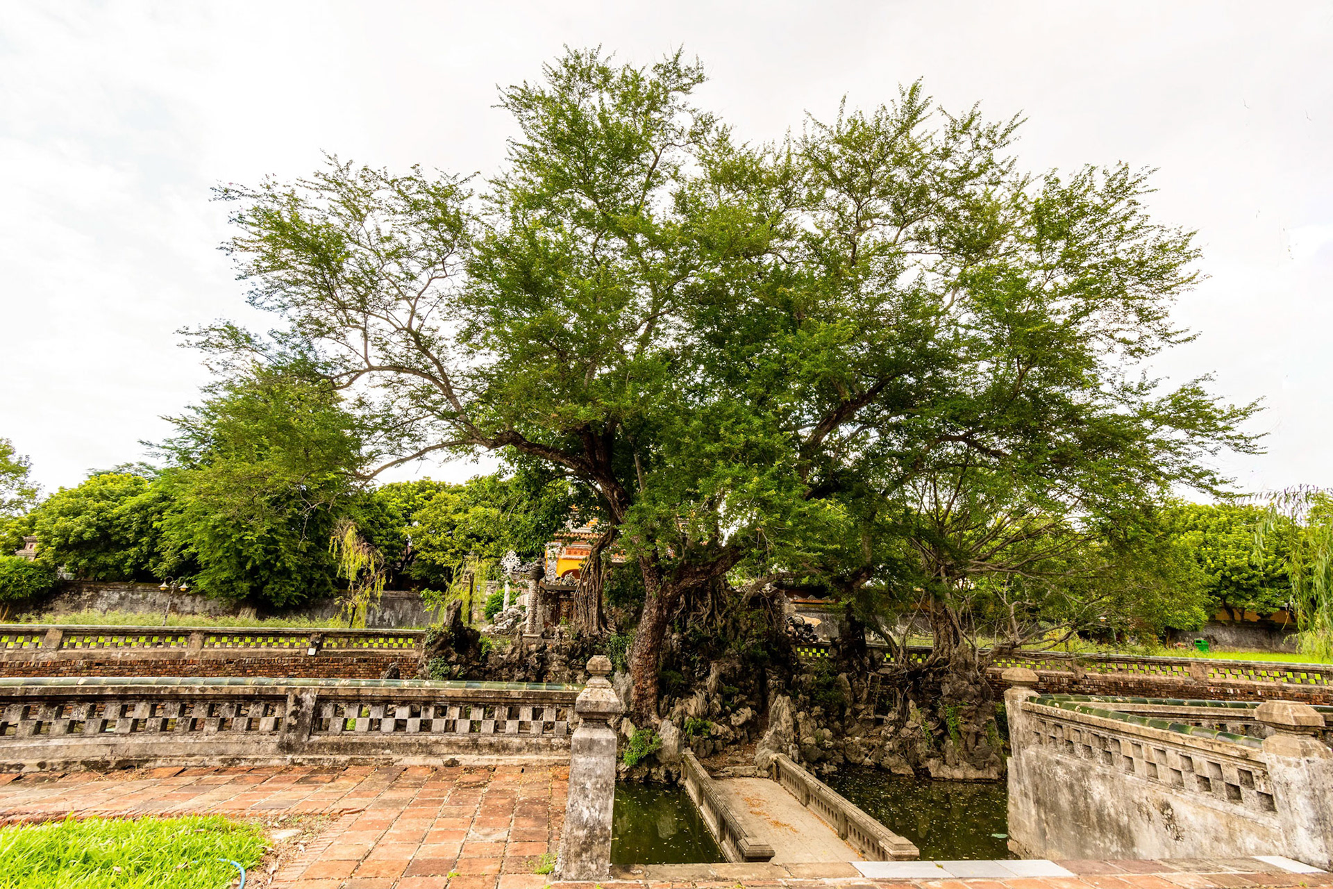 Cung Trường Sanh