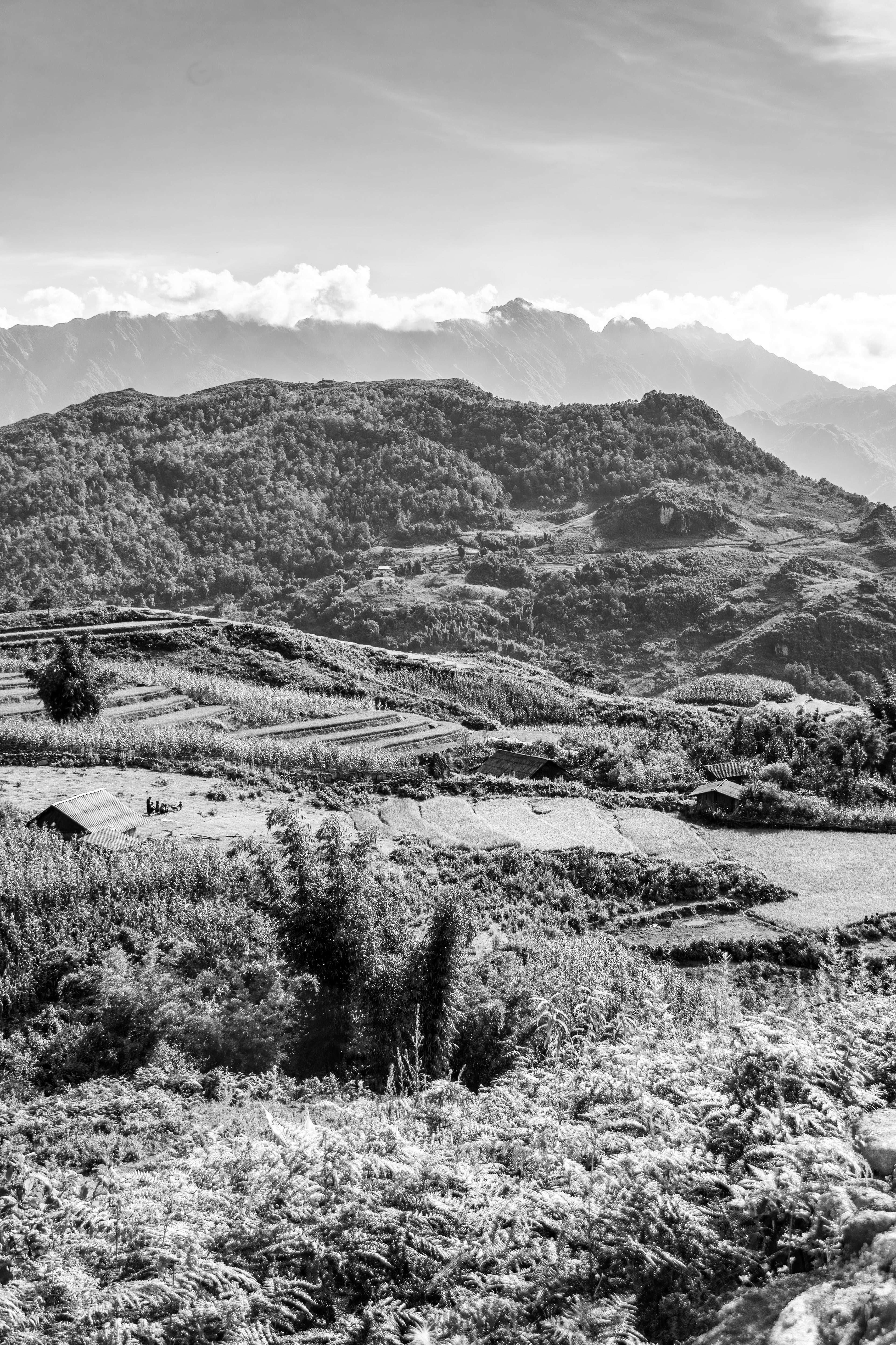 Mường Hoa Valley, Sa Pa