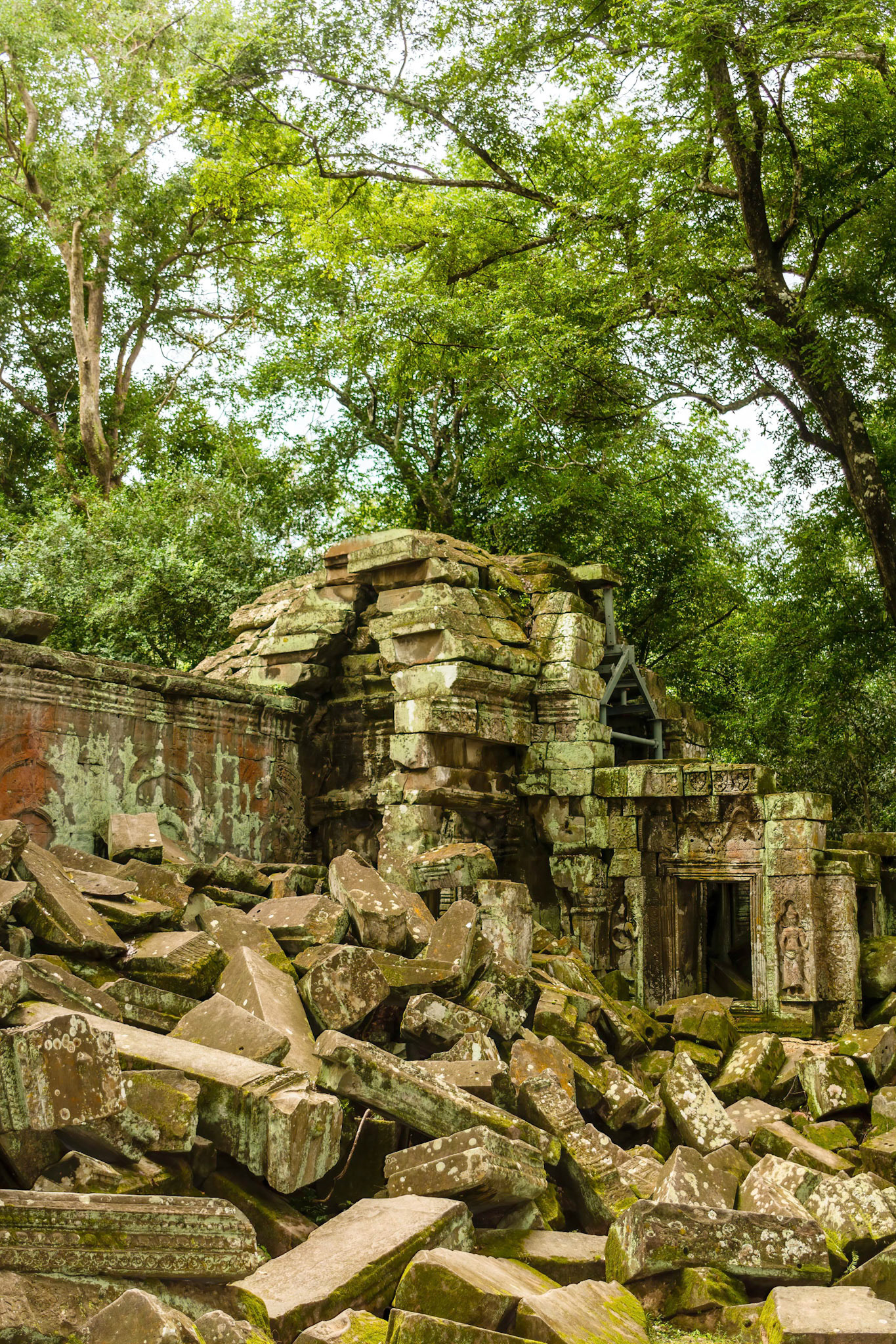 Ta Prohm Temple - ប្រាសាទ តាព្រហ្ម