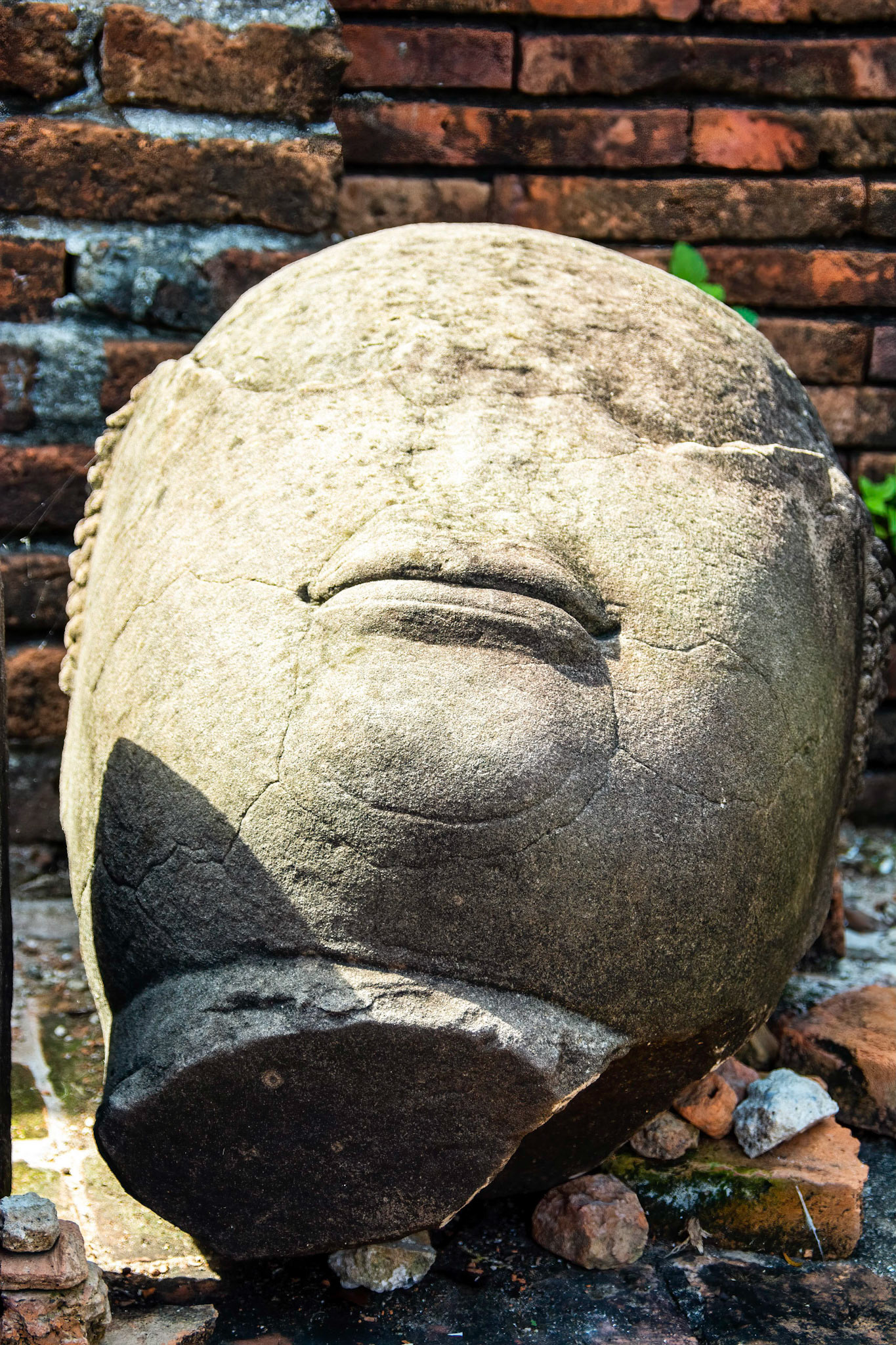 Wat Maha That, built in 1374 and destroyed by the Burmese in 1767.