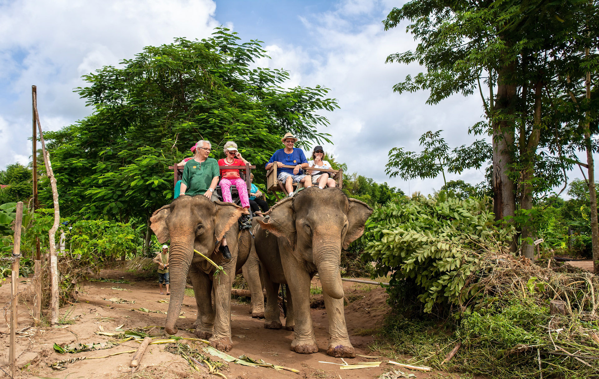 Elephant Village Ban Xieng Lom