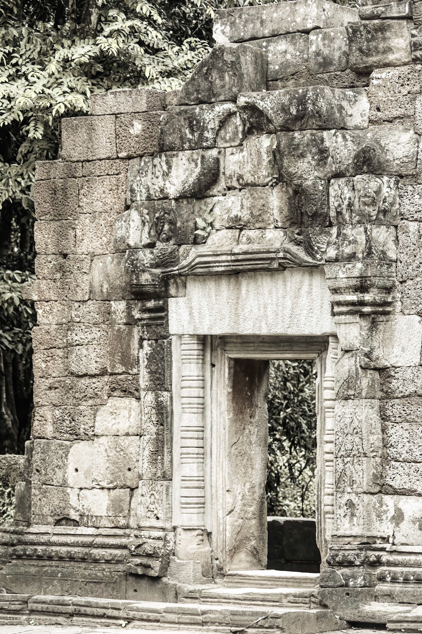 Ta Prohm Temple - ប្រាសាទ តាព្រហ្ម