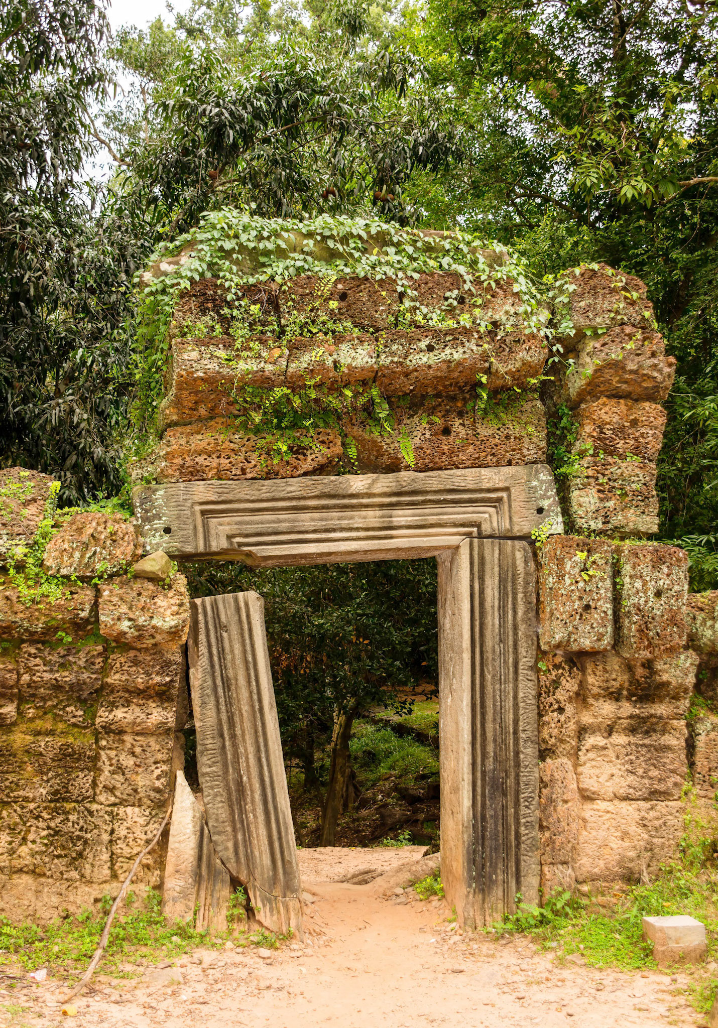 Ta Prohm Temple - ប្រាសាទ តាព្រហ្ម