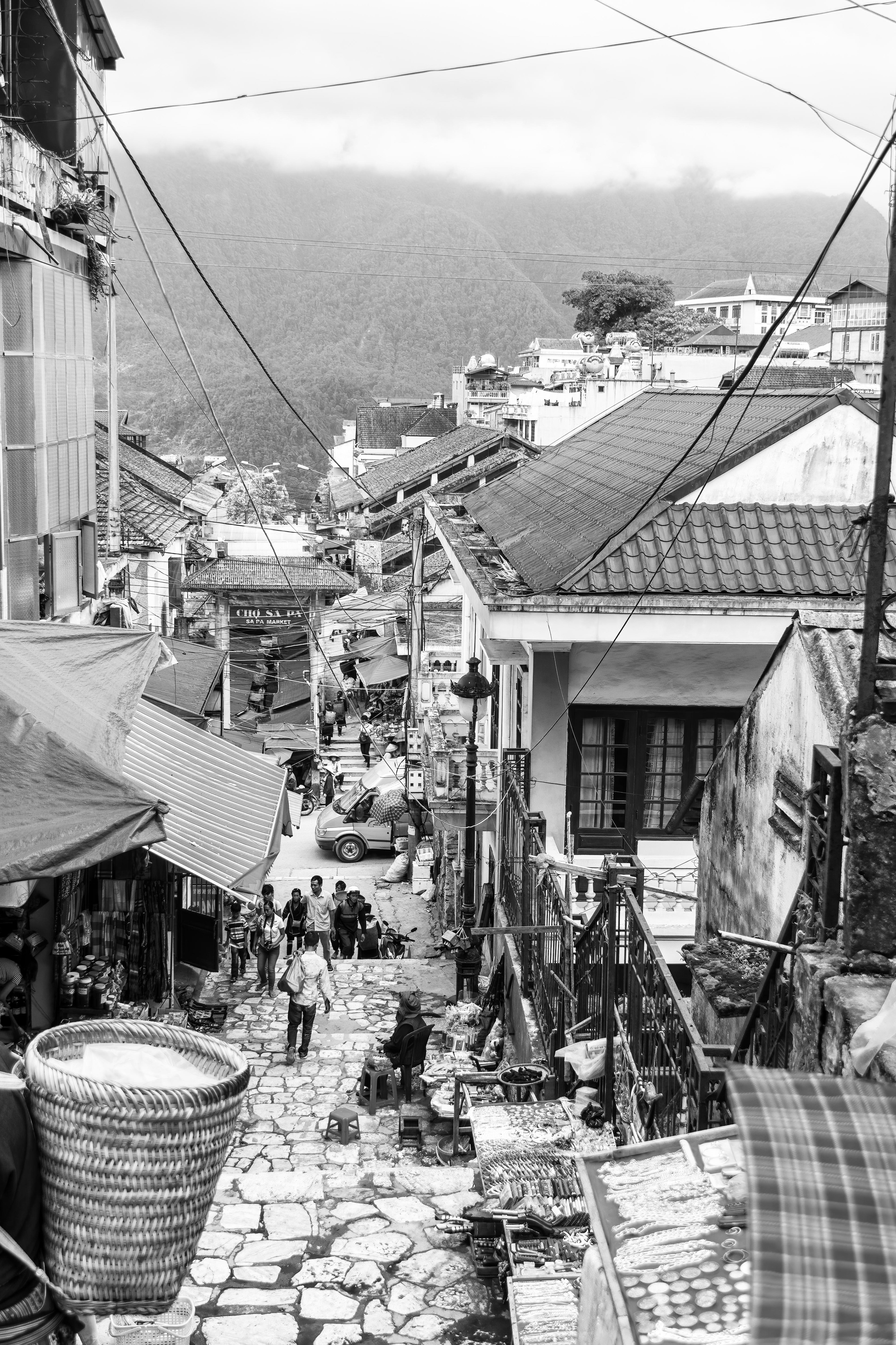 Tuệ Tĩnh, Sa Pa