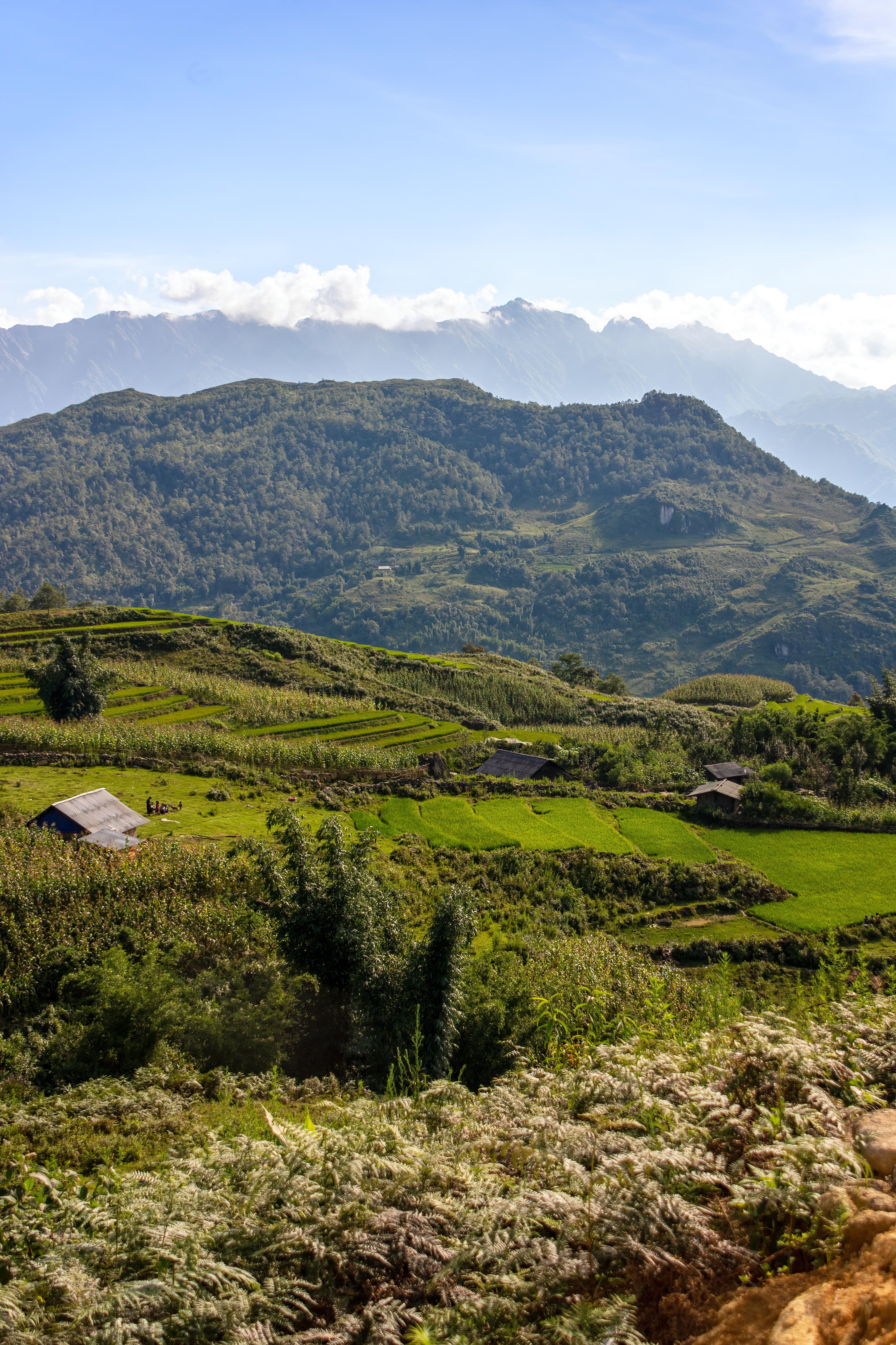 Mường Hoa Valley, Sa Pa