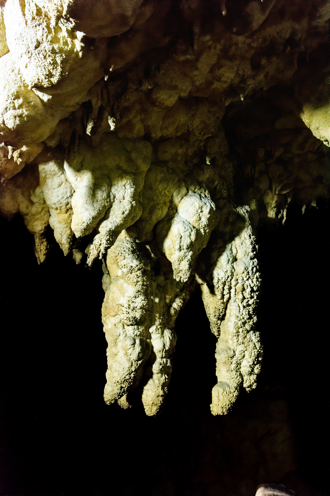 Động Ngườm Ngao (Nguom Ngao Cave)