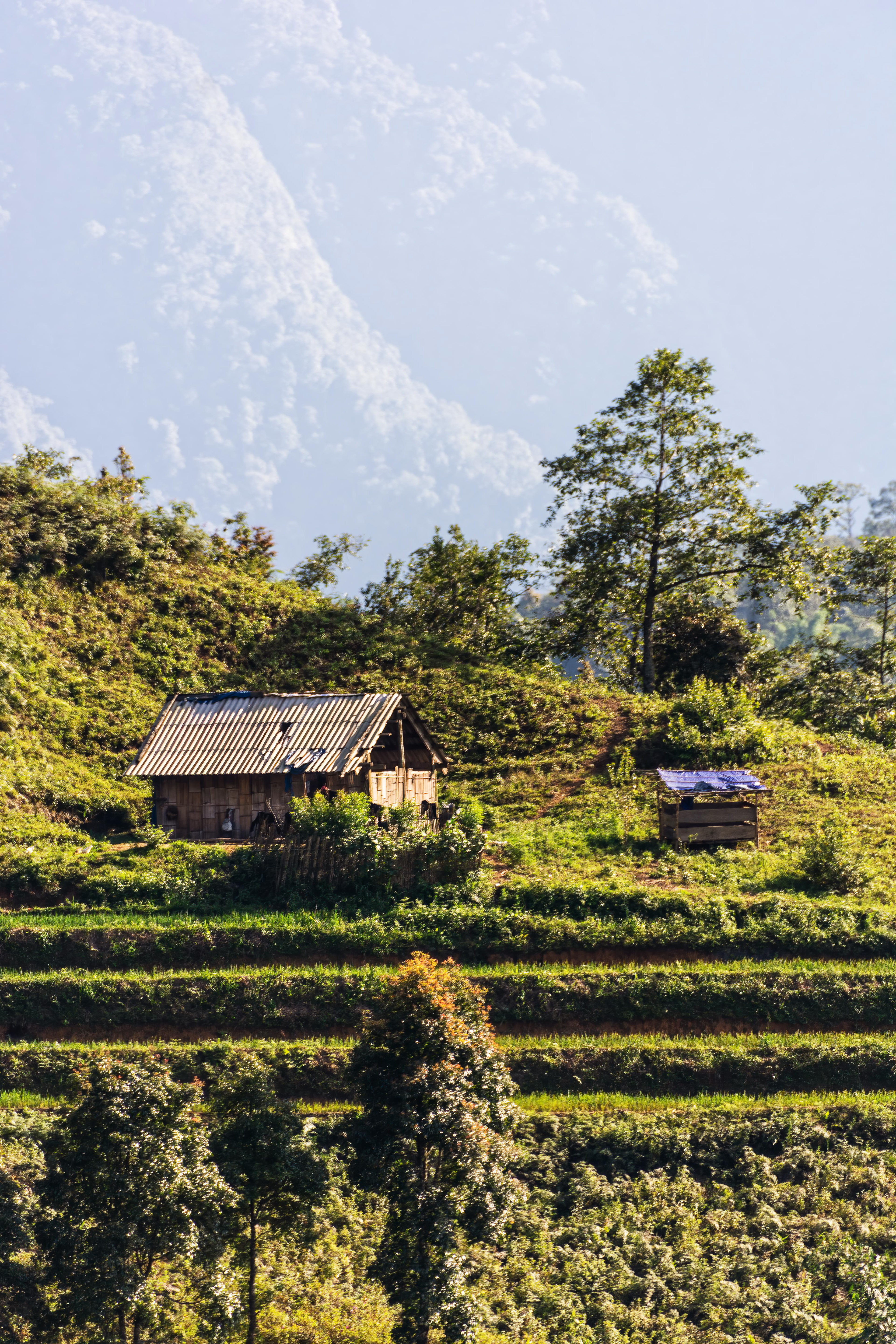 Mường Hoa Valley, Sa Pa