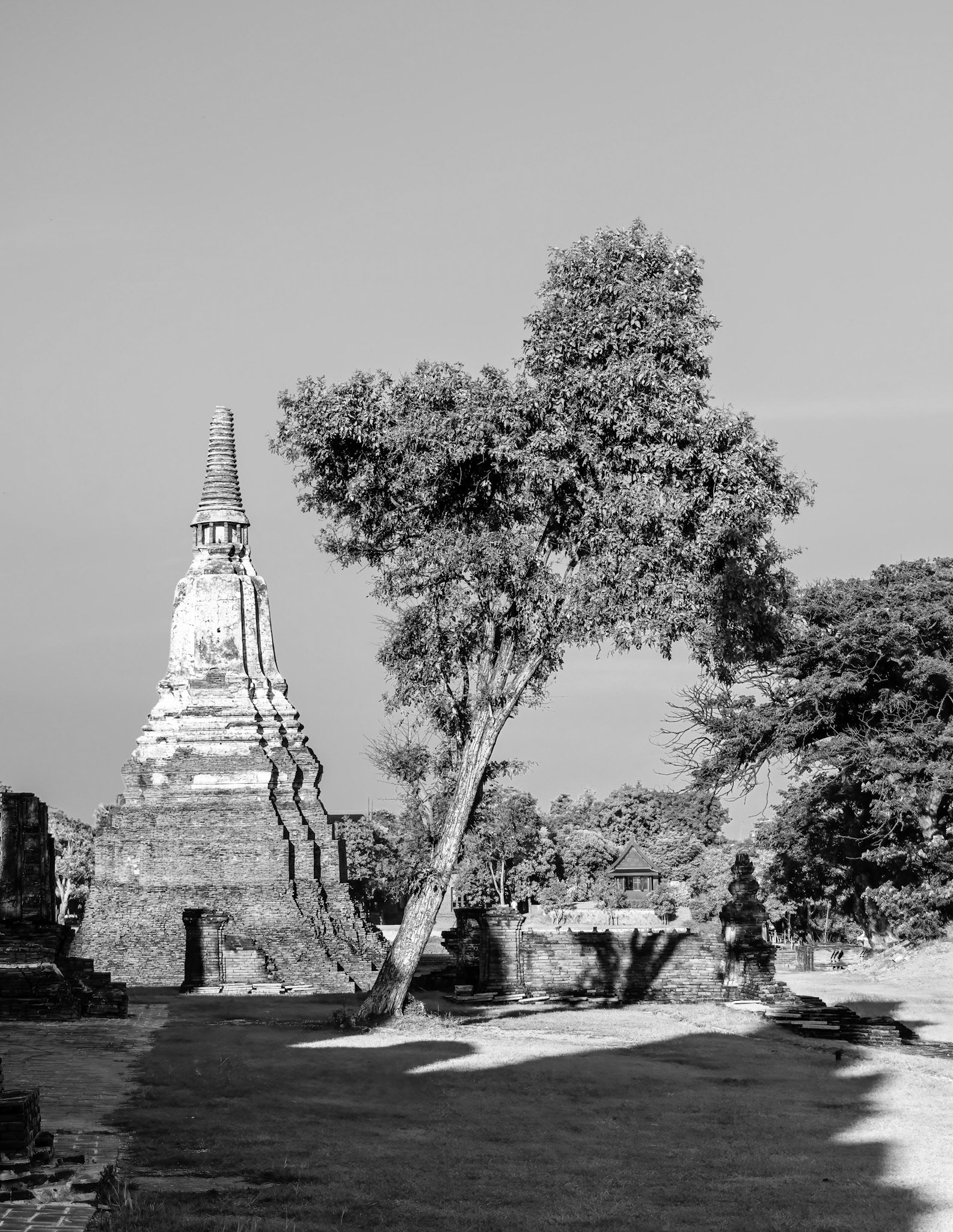 Wat Chai Watthanaram or the “Monastery of the Victorious and Prosperous Temple”