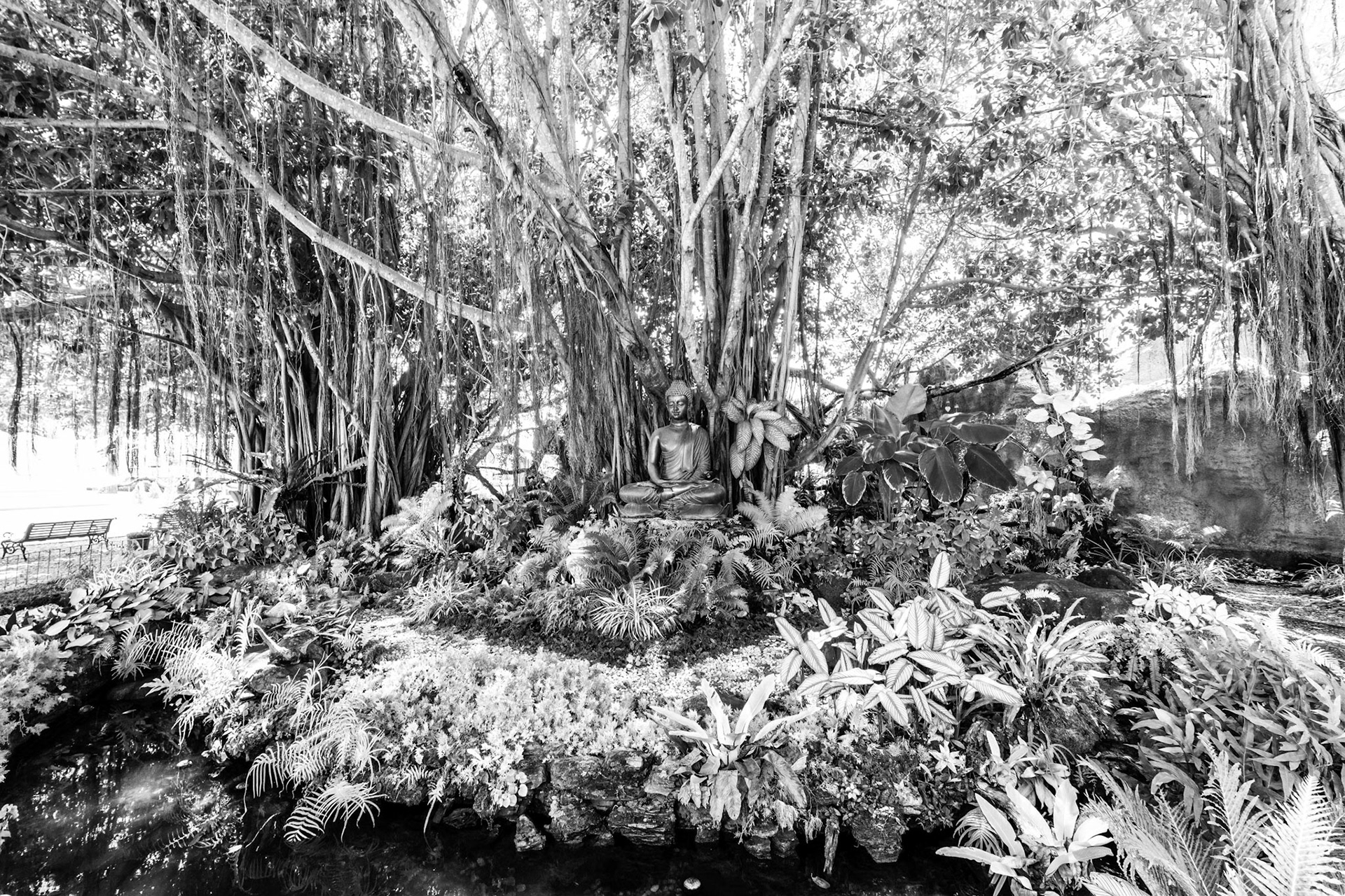Wat Rong Khun - วัดร่องขุ่น