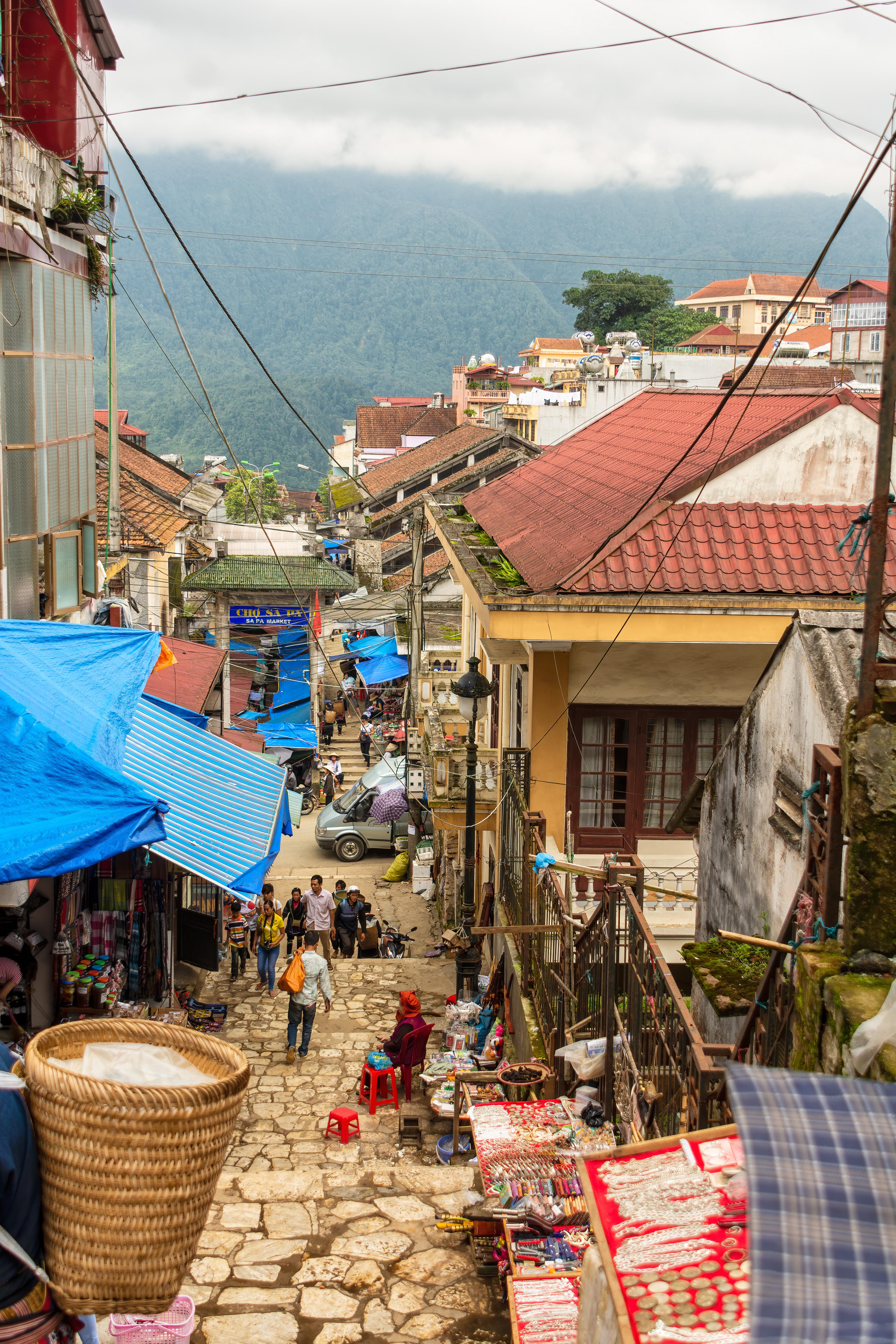 Tuệ Tĩnh, Sa Pa