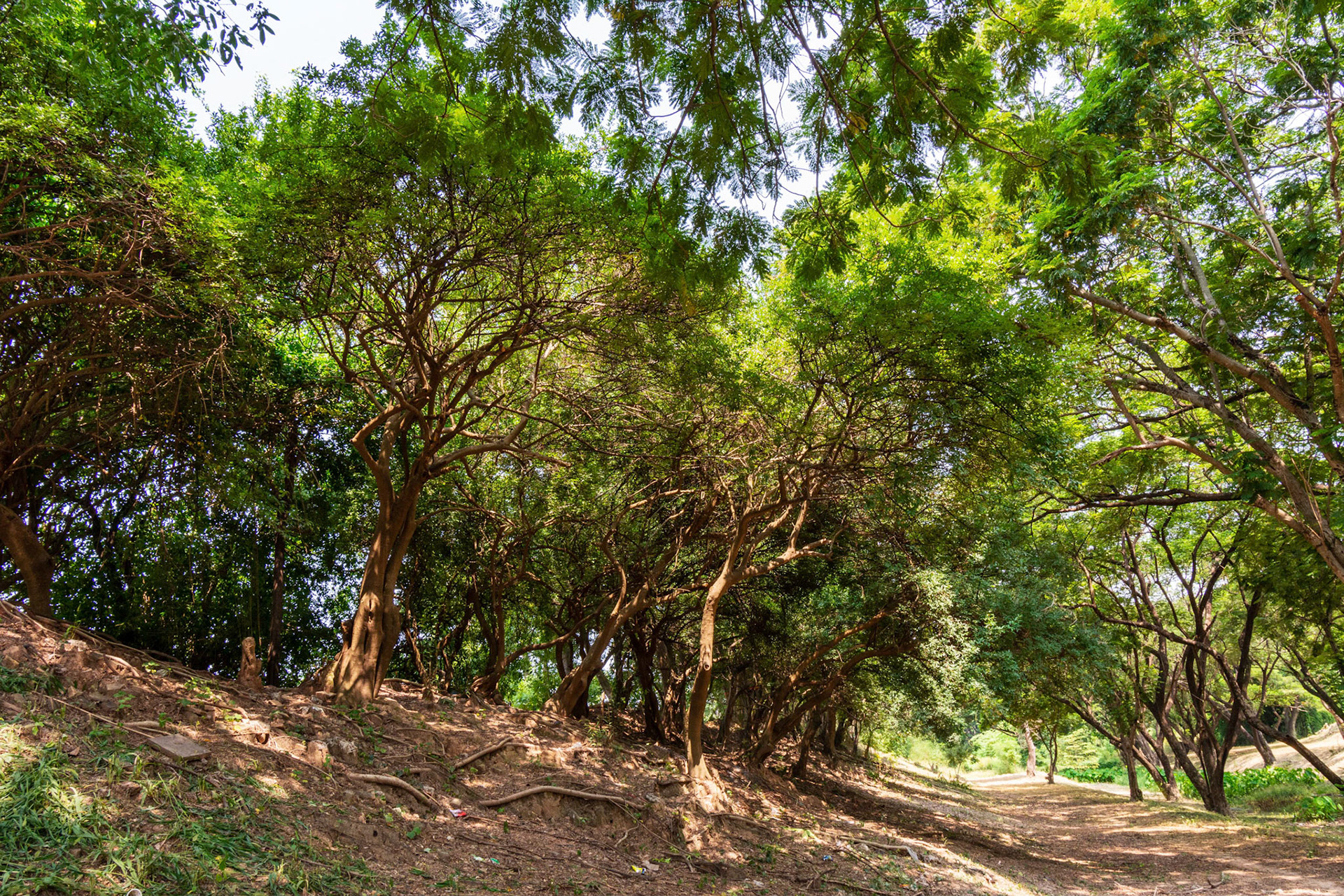 Old Ramparts