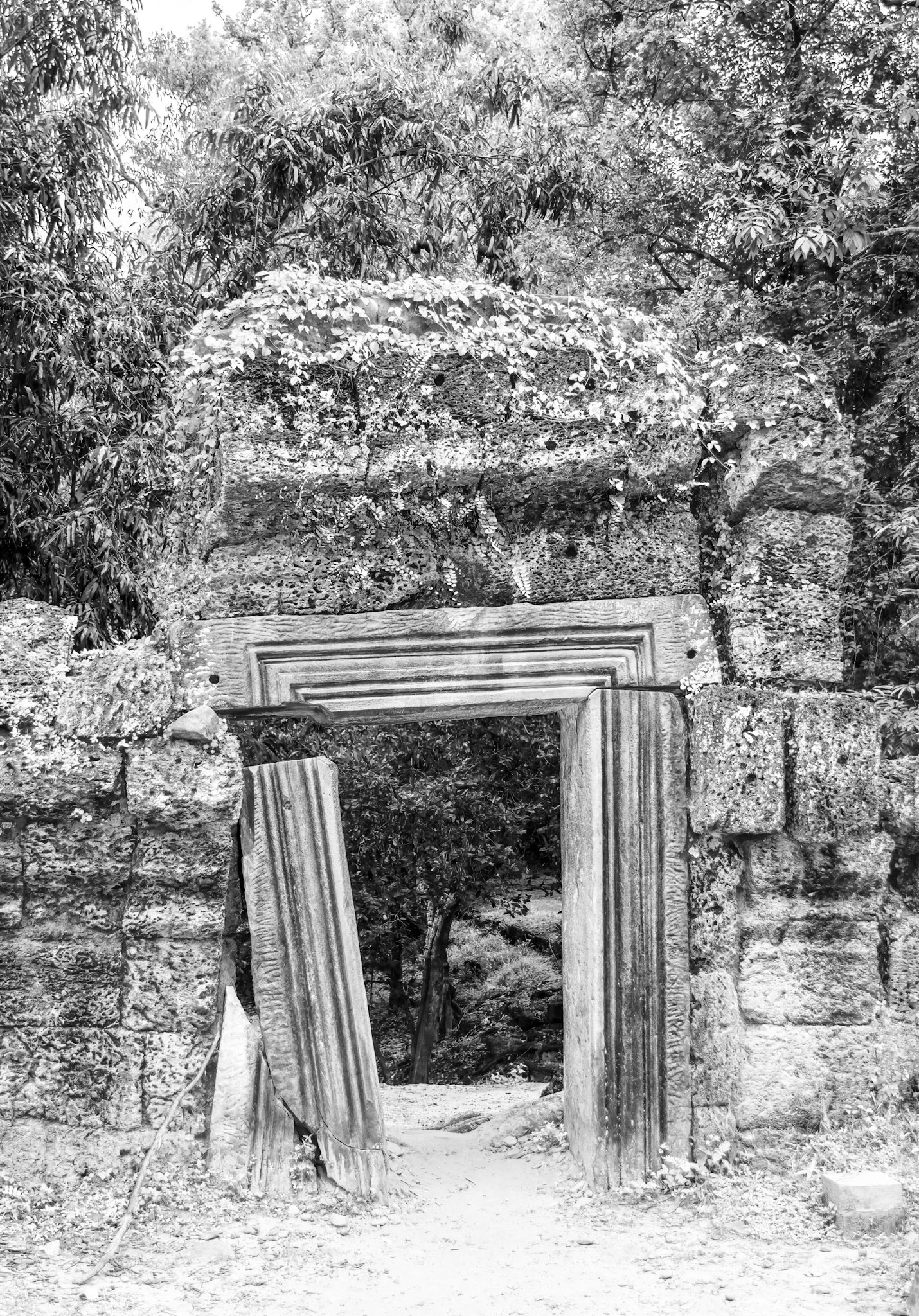 Ta Prohm Temple - ប្រាសាទ តាព្រហ្ម