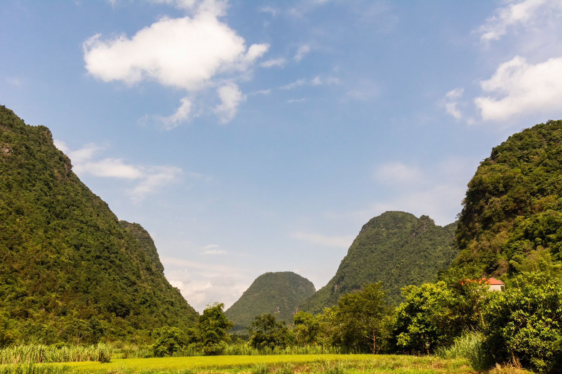 Mộ Kim Đồng (Kim Đồng Monument)