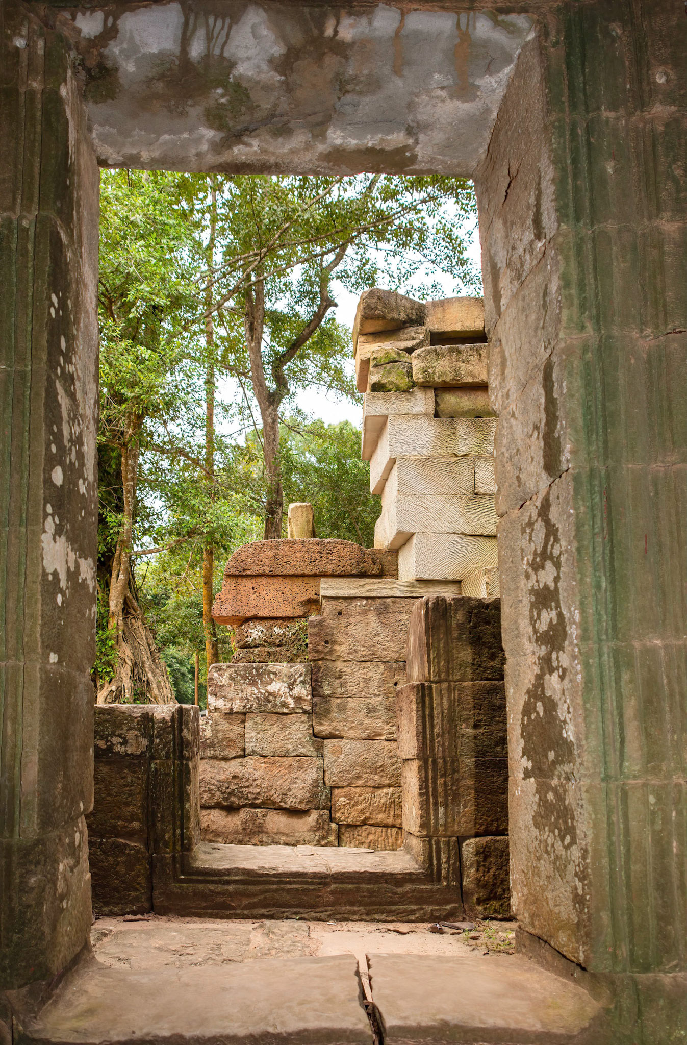 Ta Prohm West Gate