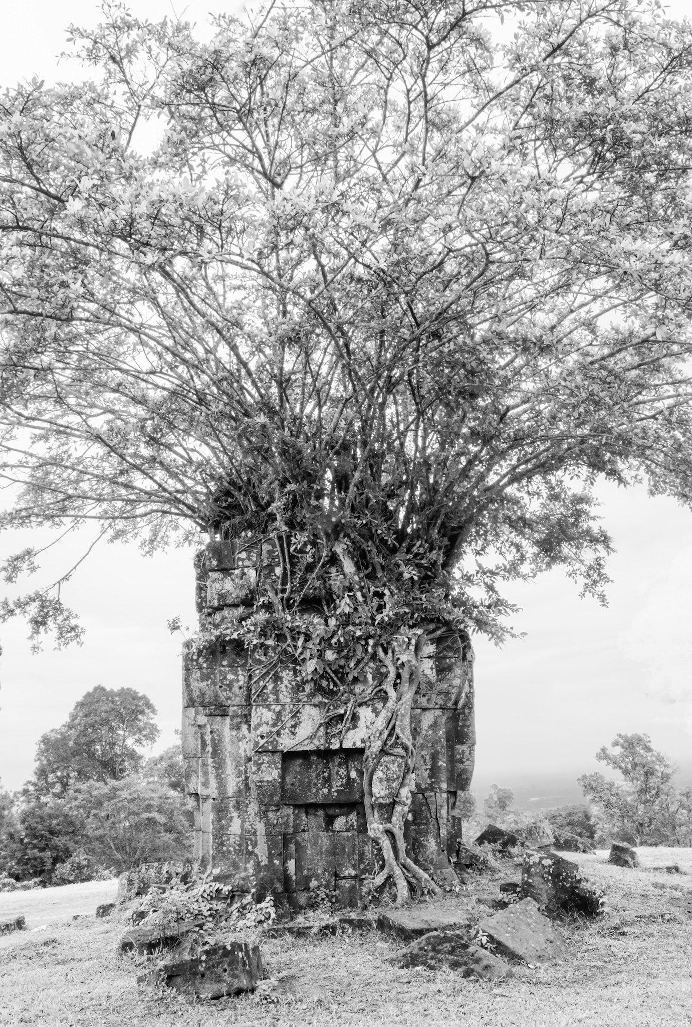Preah Vihear Temple