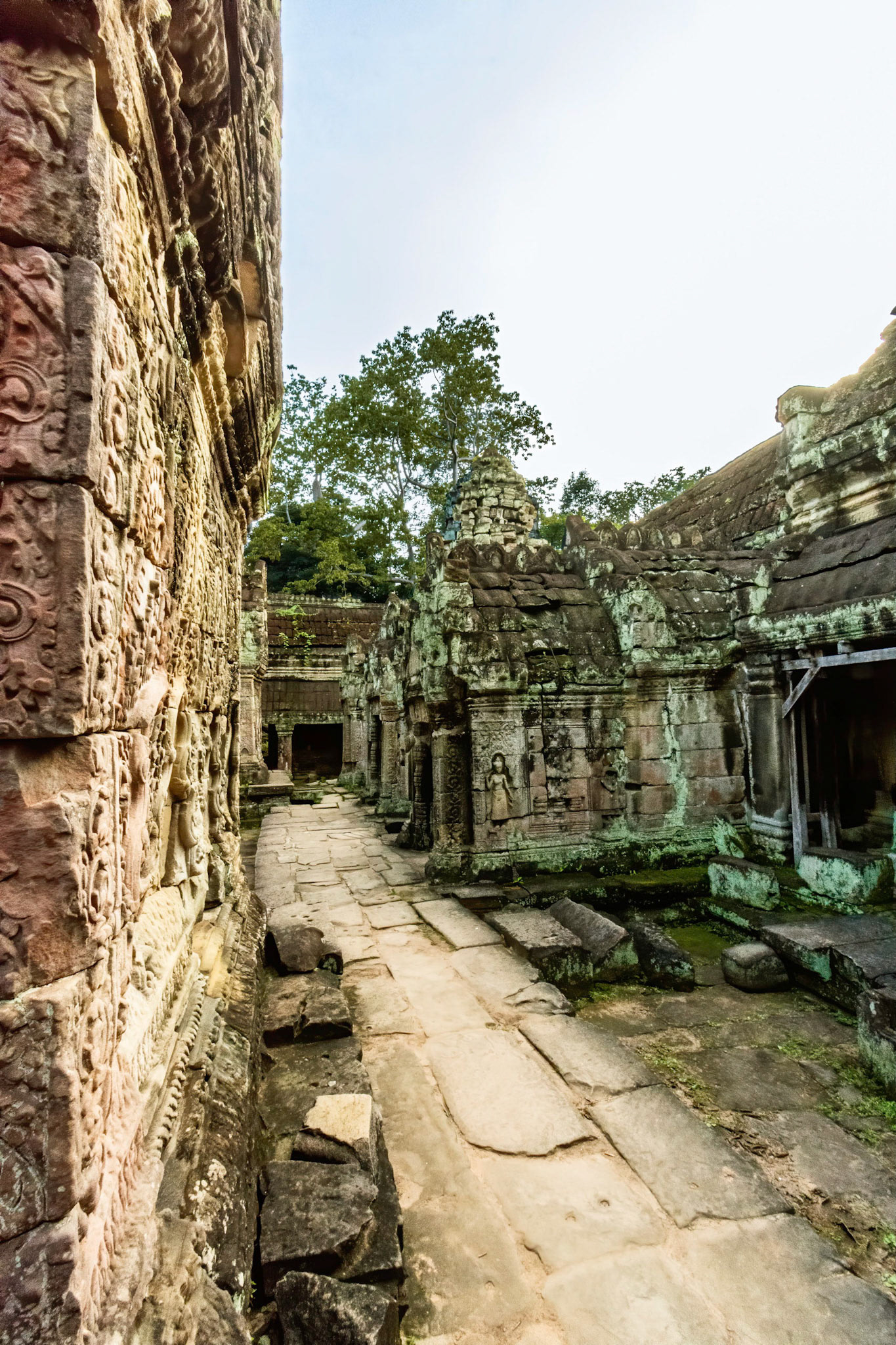 Preah Khan Temple - ប្រាសាទព្រះខ័ន