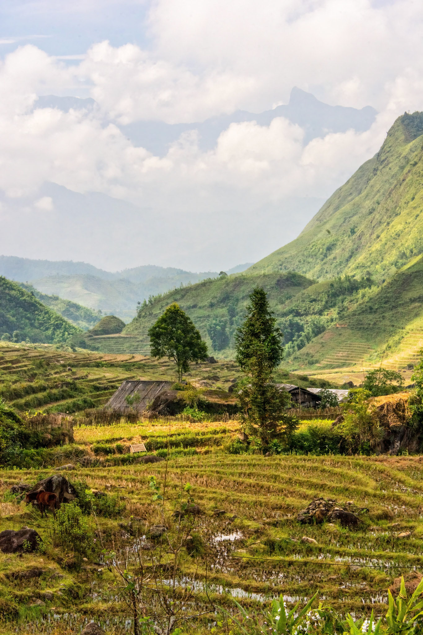 Lao Chải Village