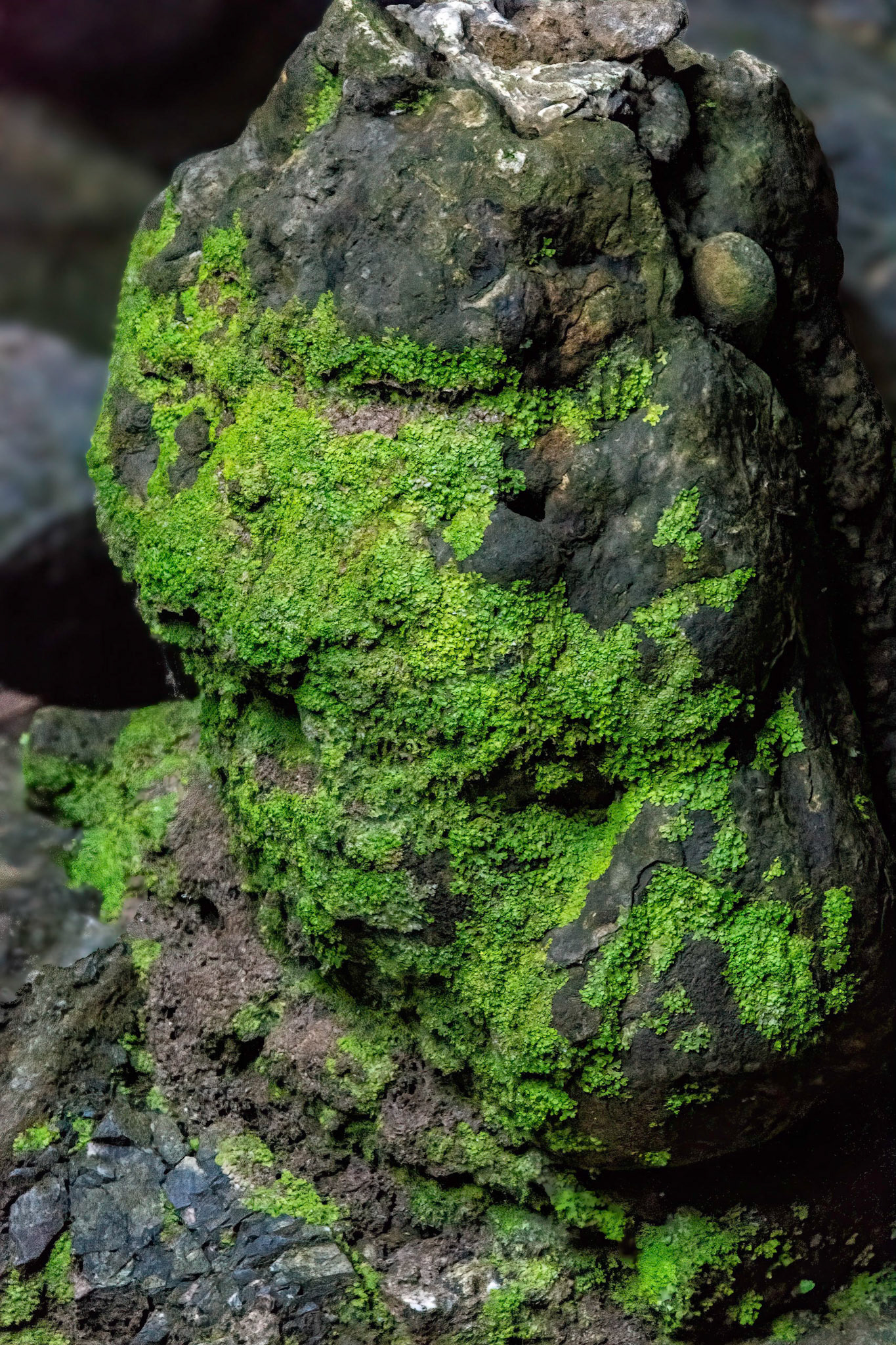 Động Hương Tích (Hương Tích Cave)
