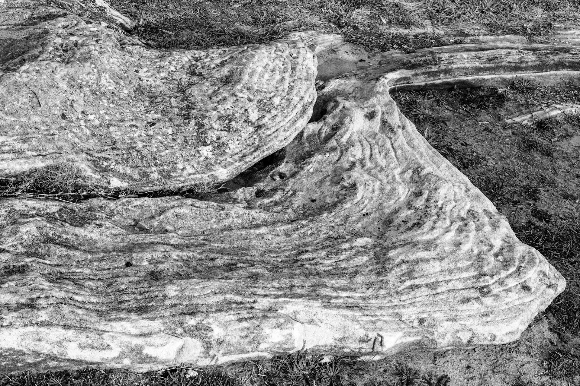 weathered rocks