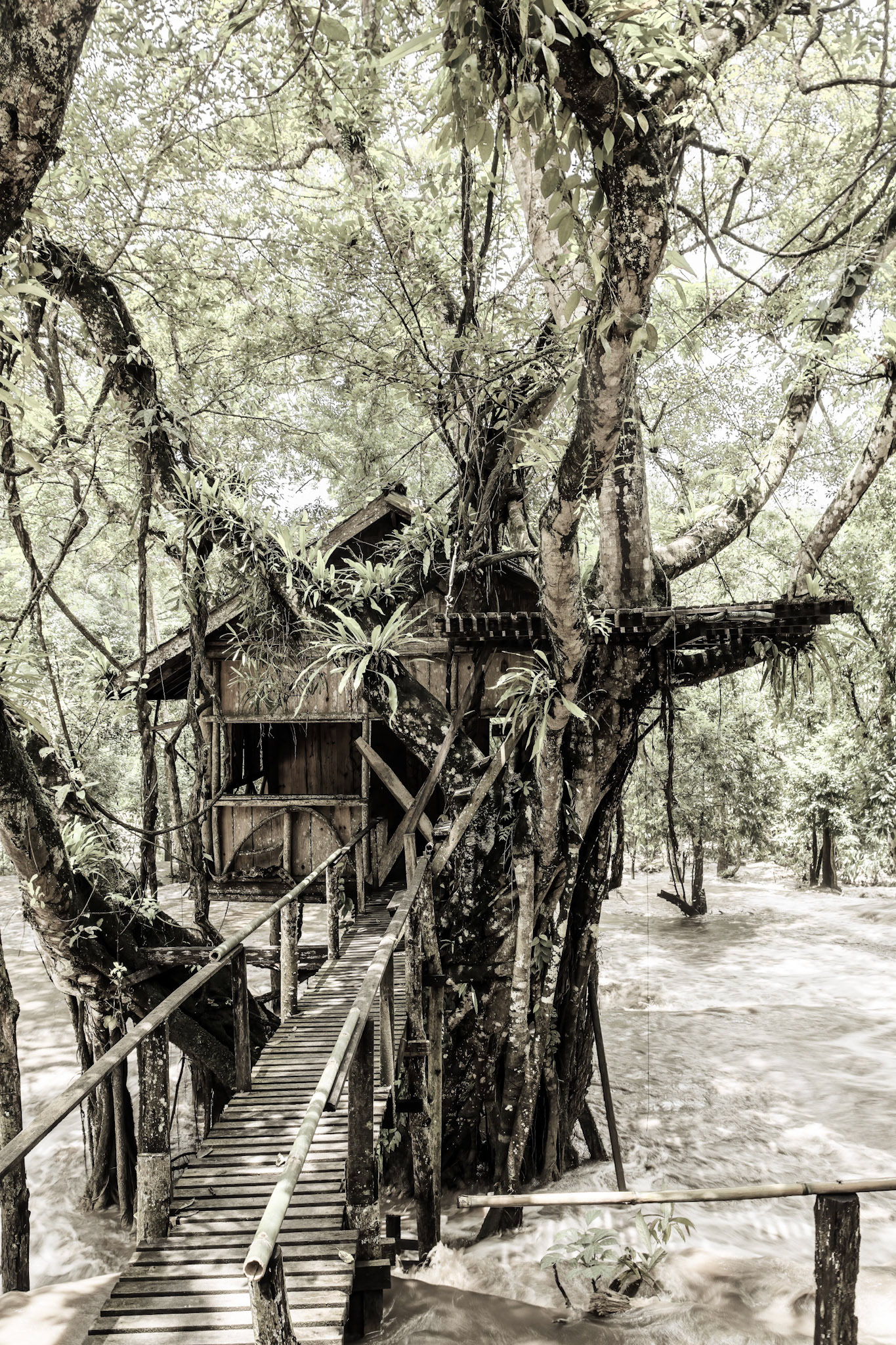 Tat Sae Waterfalls