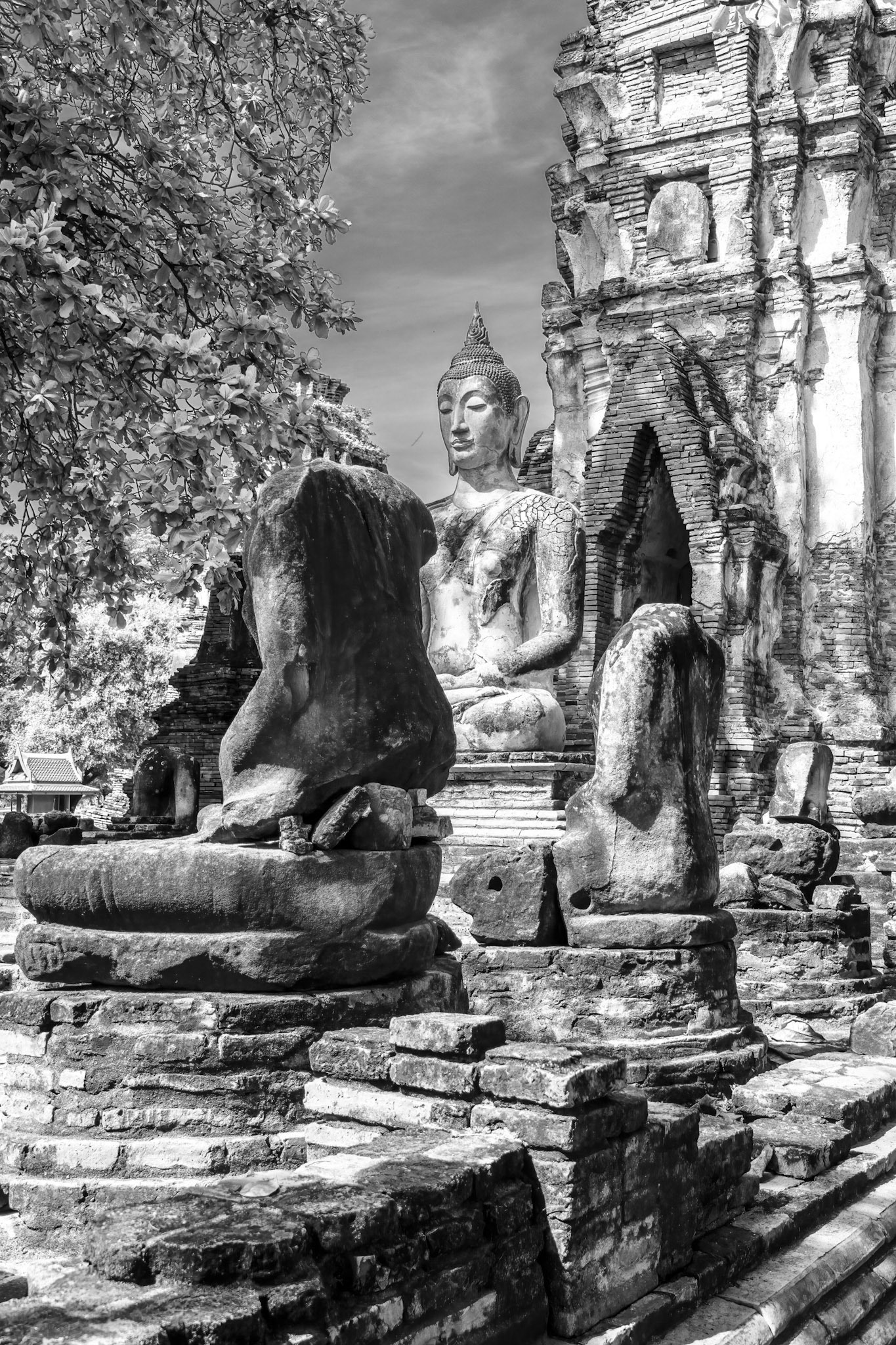 Wat Maha That, built in 1374 and destroyed by the Burmese in 1767.