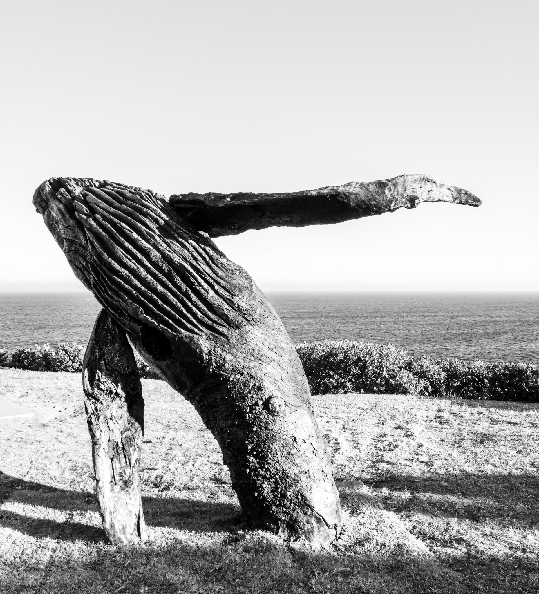 Breaching