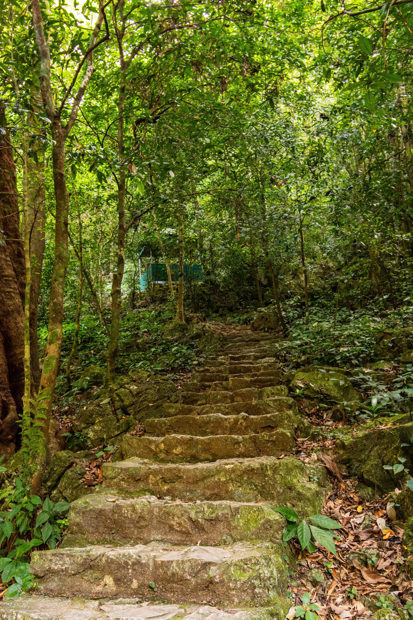 Pác Bó Caves