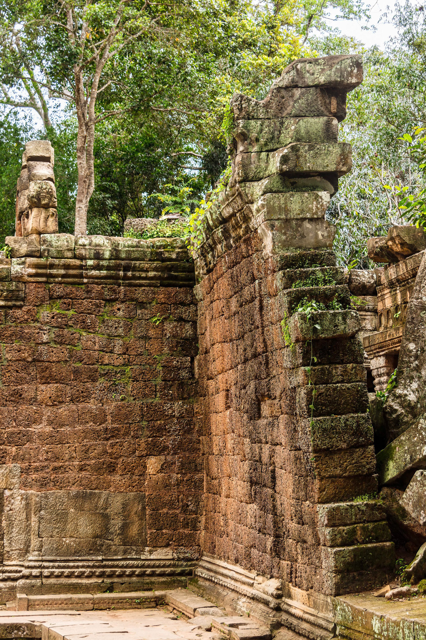 Ta Prohm Temple - ប្រាសាទ តាព្រហ្ម