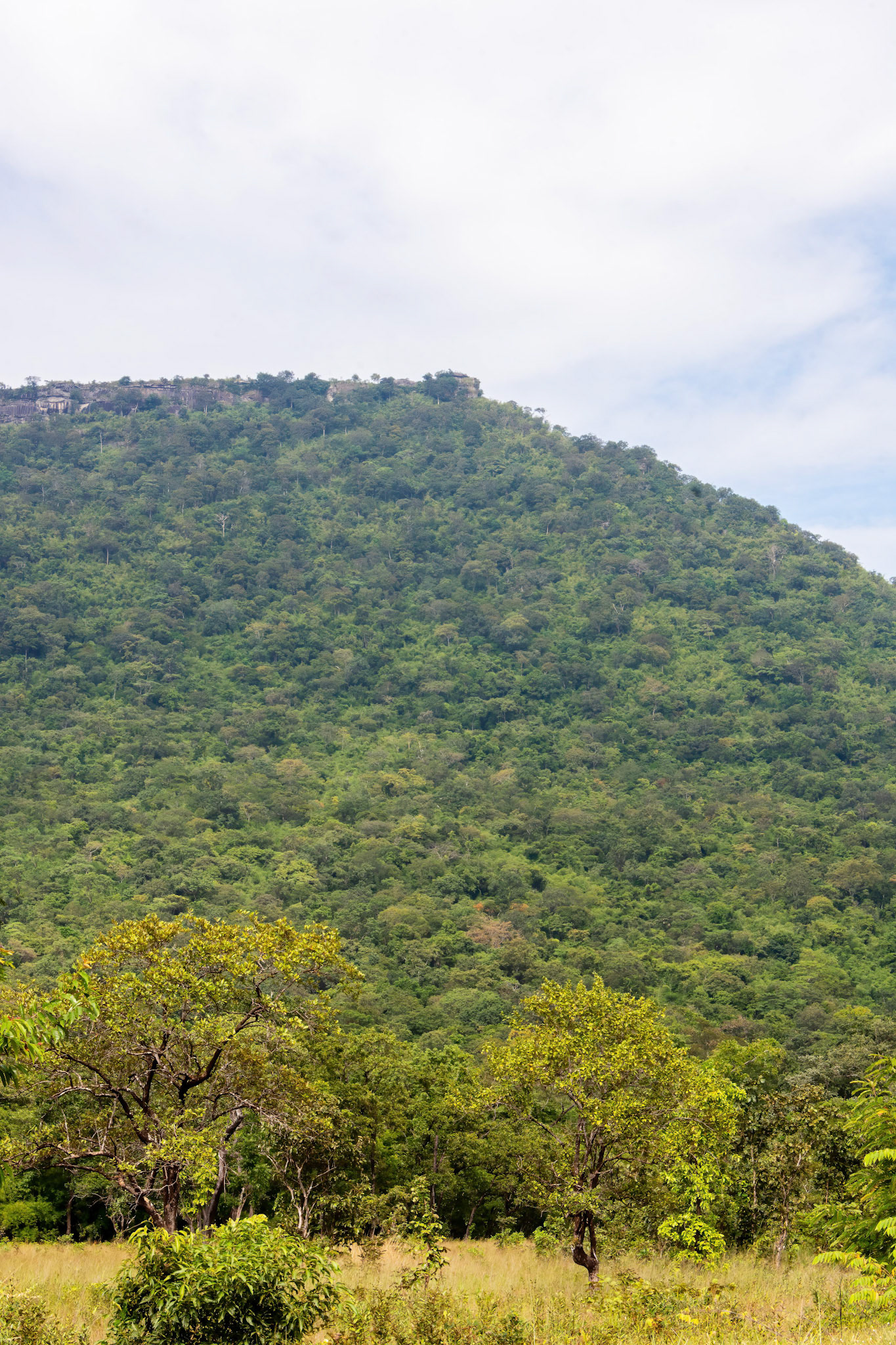 Preah Vihear Temple