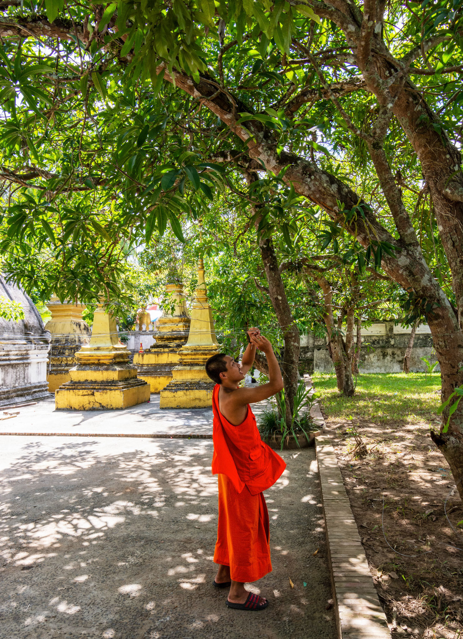 Wat Xieng Mouane