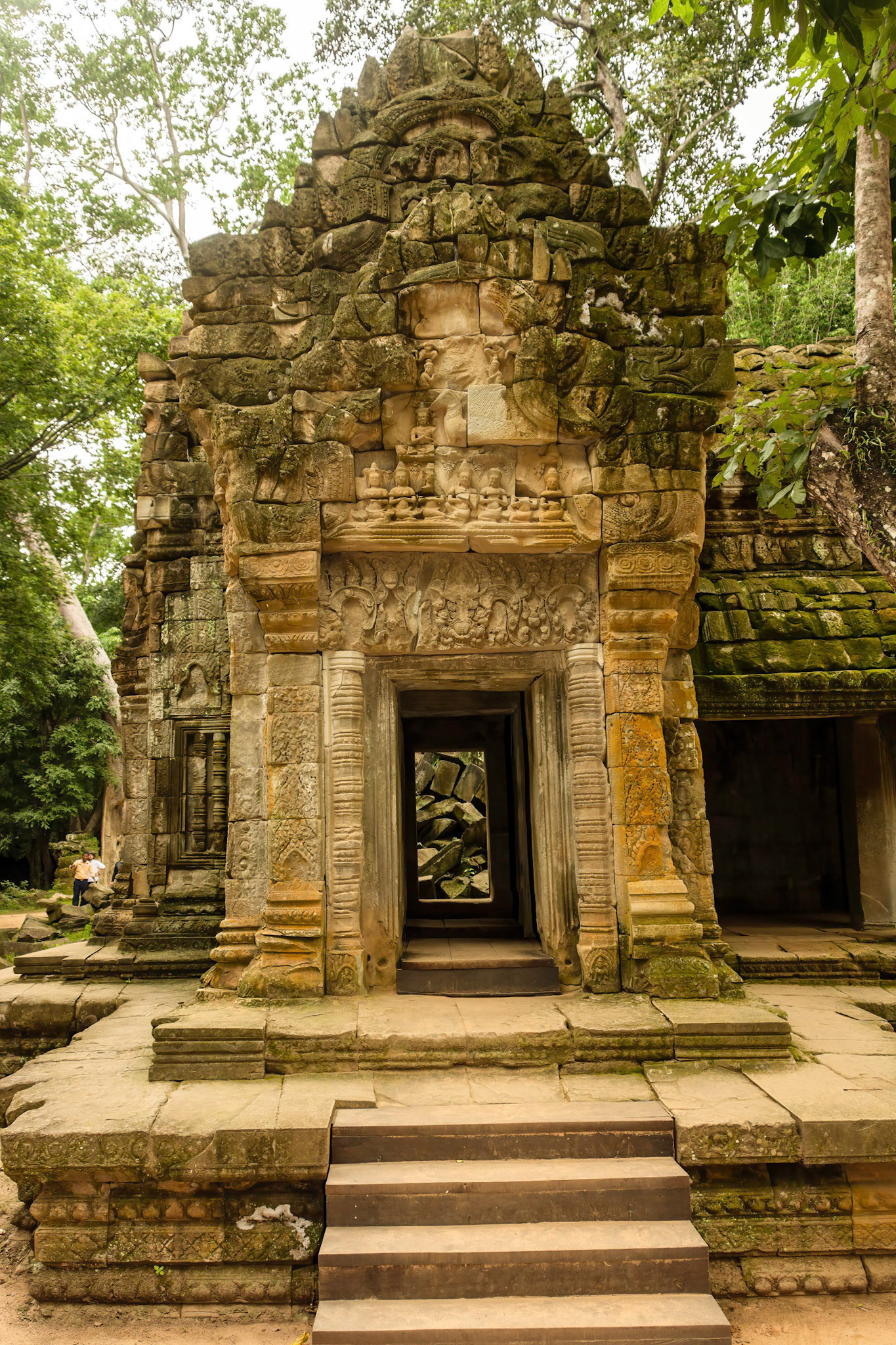 Ta Prohm Temple - ប្រាសាទ តាព្រហ្ម