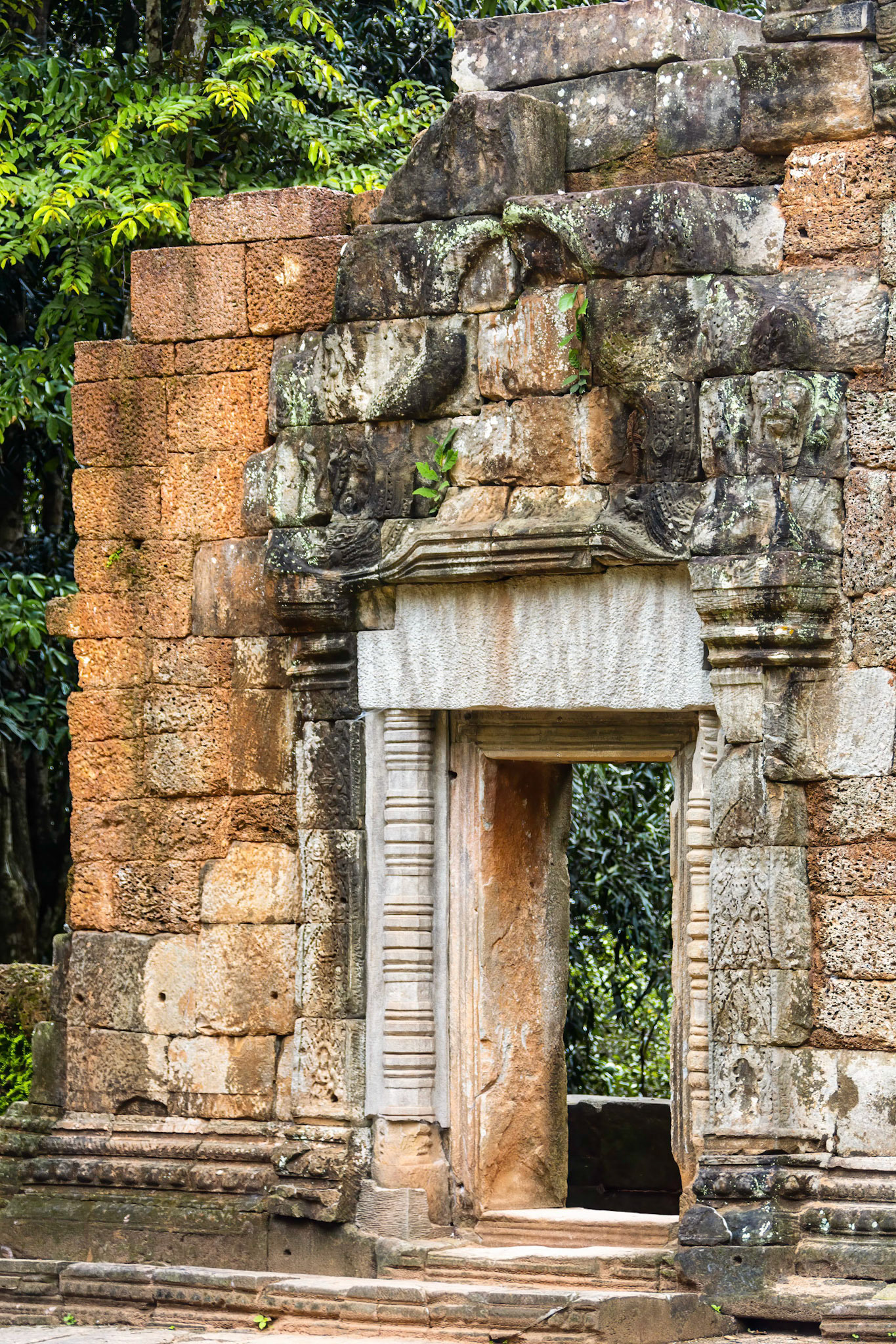 Ta Prohm Temple - ប្រាសាទ តាព្រហ្ម