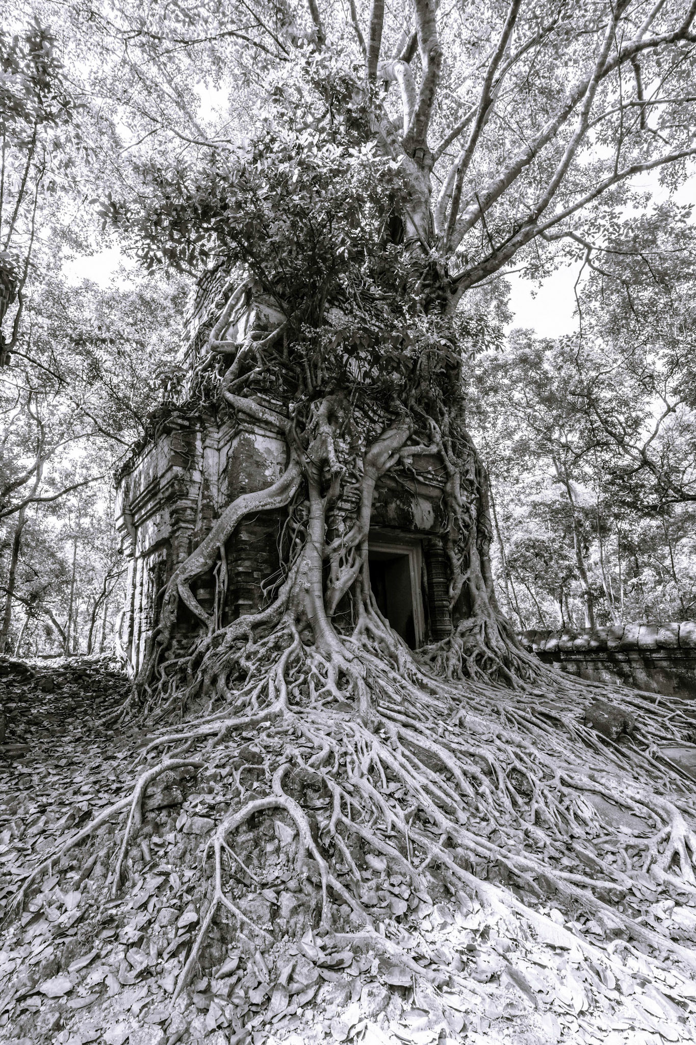 Pram Temple - ប្រាសាទ ប្រាំ
