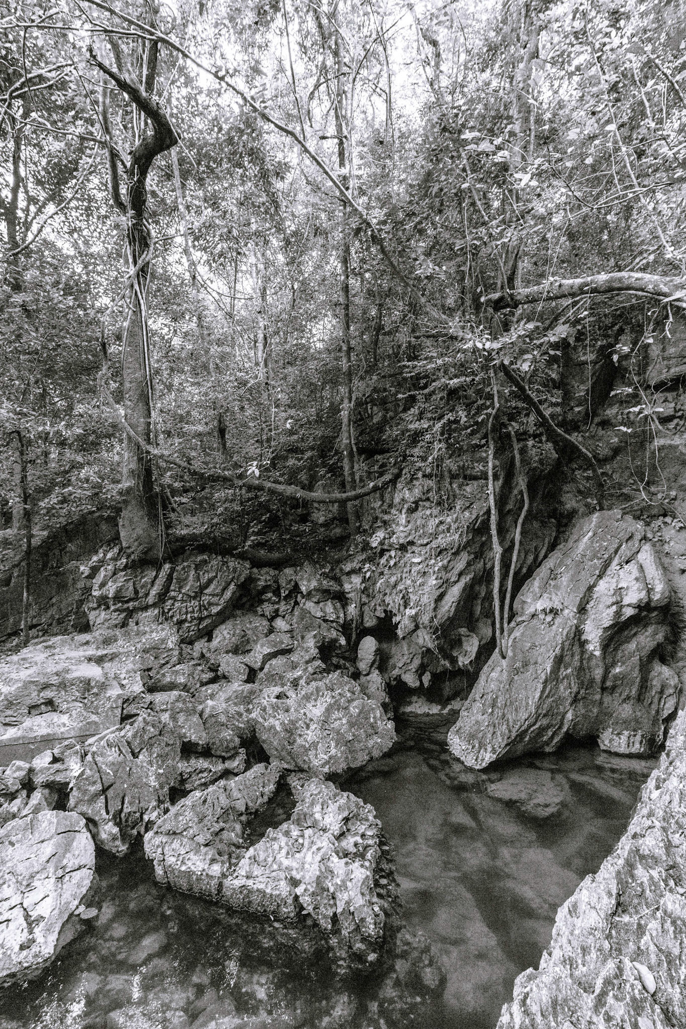 Pác Bó Caves
