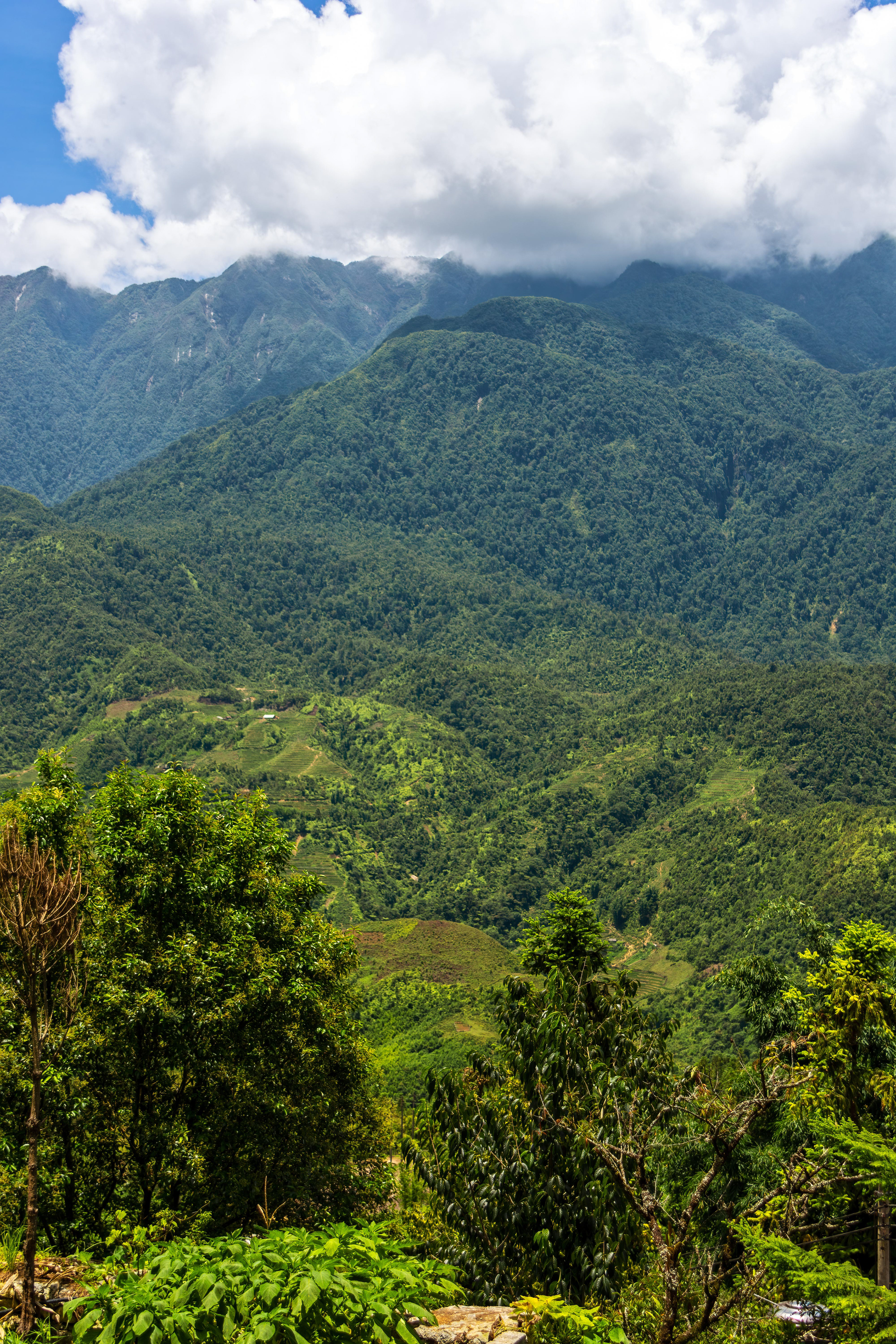 San Sả Hồ, Sa Pa