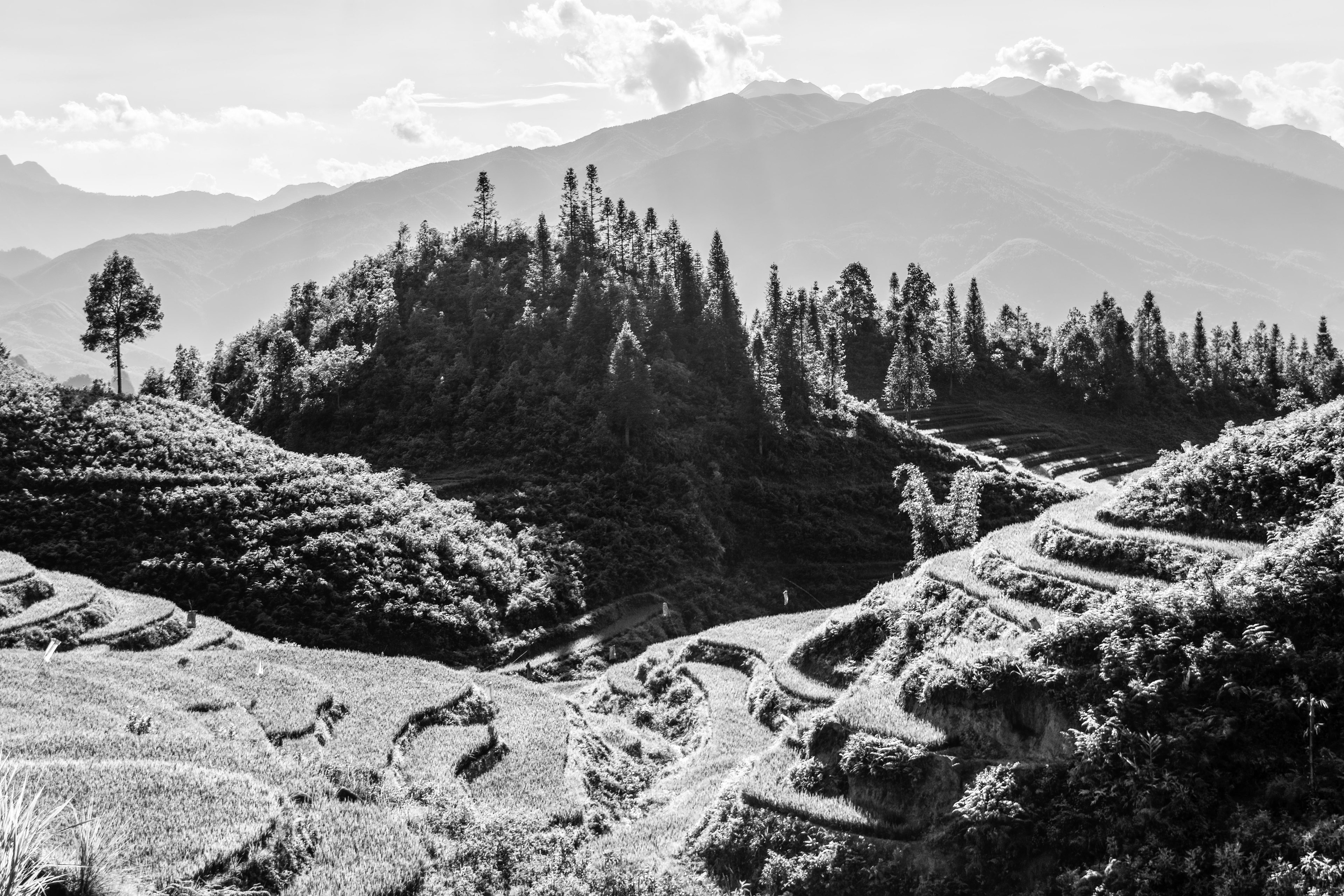 Mường Hoa Valley, Sa Pa