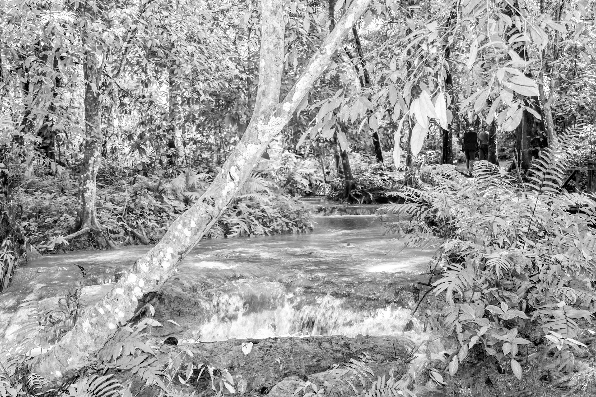 Kuang Si Waterfall Park