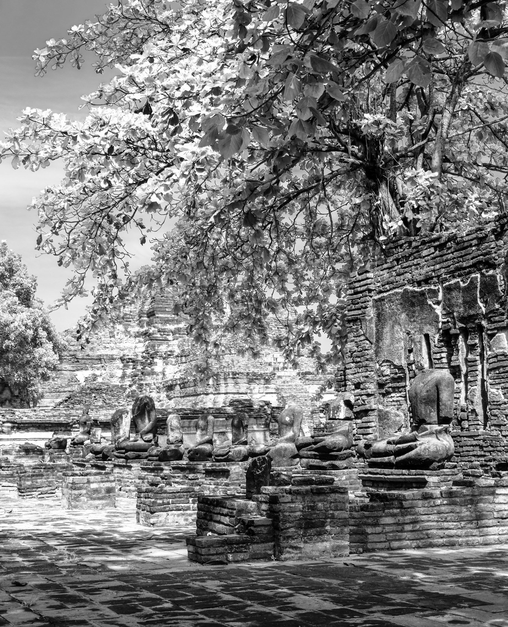 Wat Maha That, built in 1374 and destroyed by the Burmese in 1767.