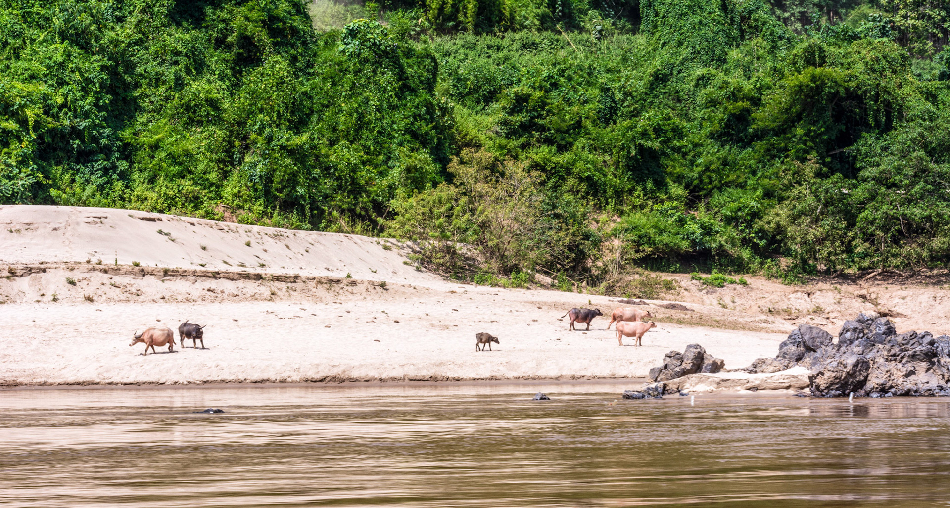 Houay Xai to Pak Beng