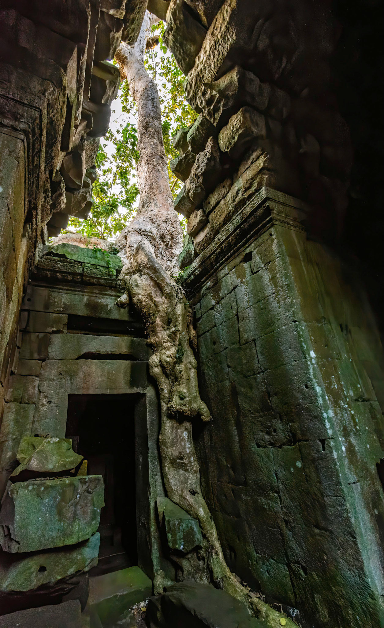 Preah Khan Temple - ប្រាសាទព្រះខ័ន
