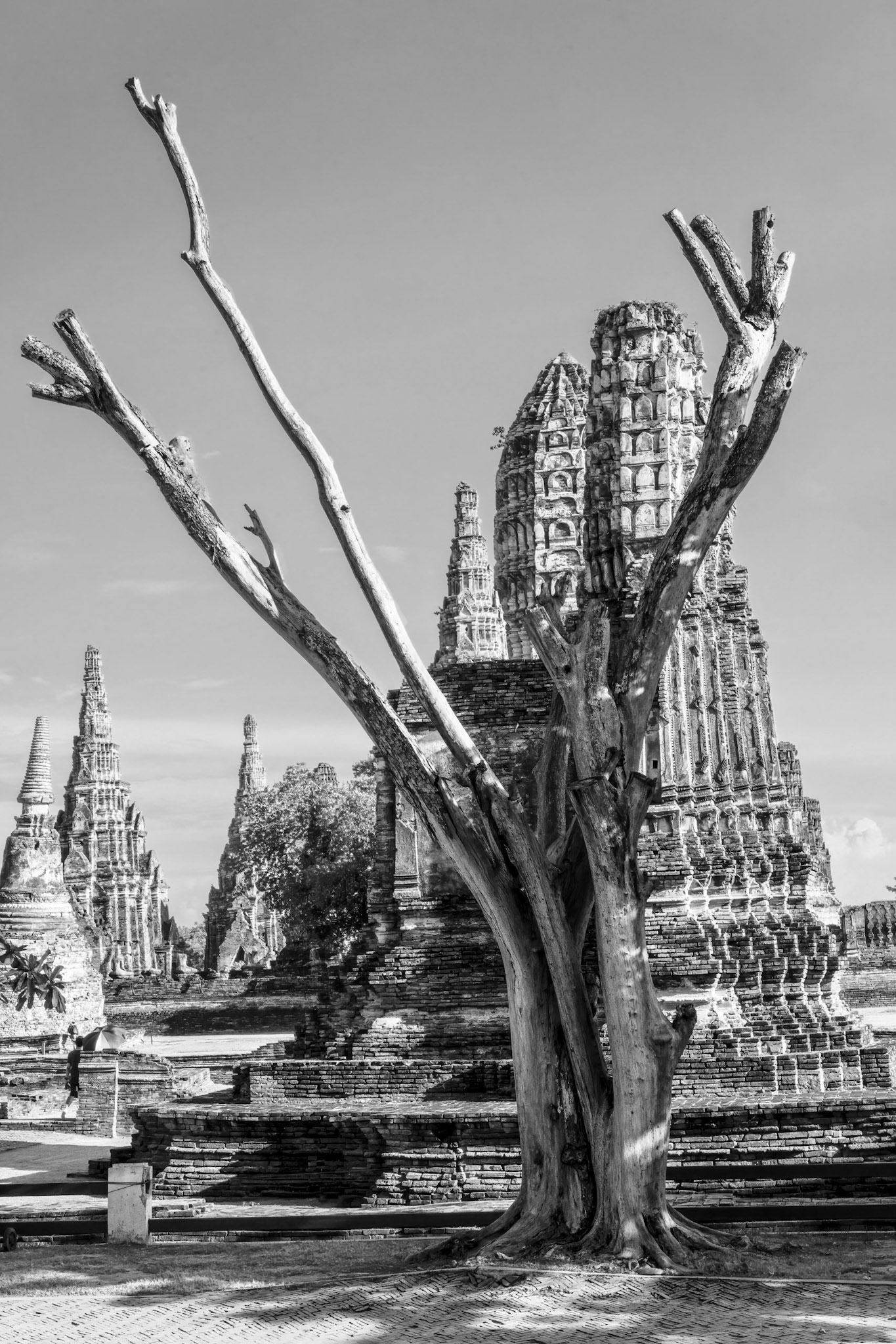 Wat Chai Watthanaram or the “Monastery of the Victorious and Prosperous Temple”