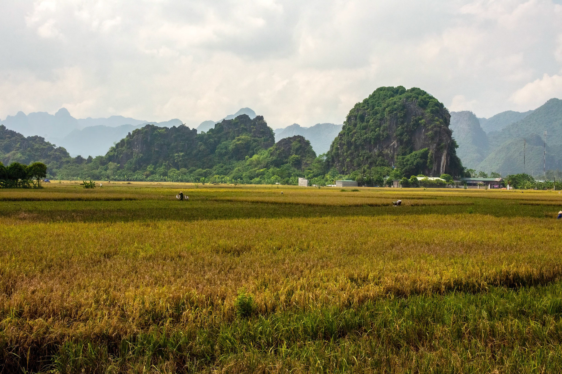 Hương Sơn